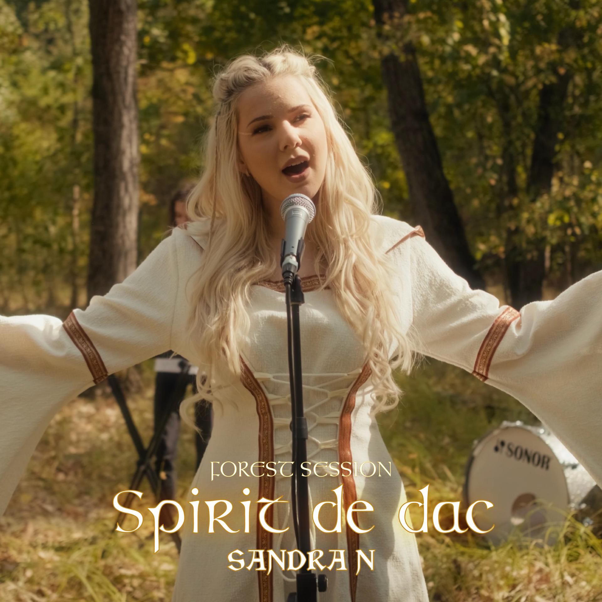 Постер альбома Spirit de dac