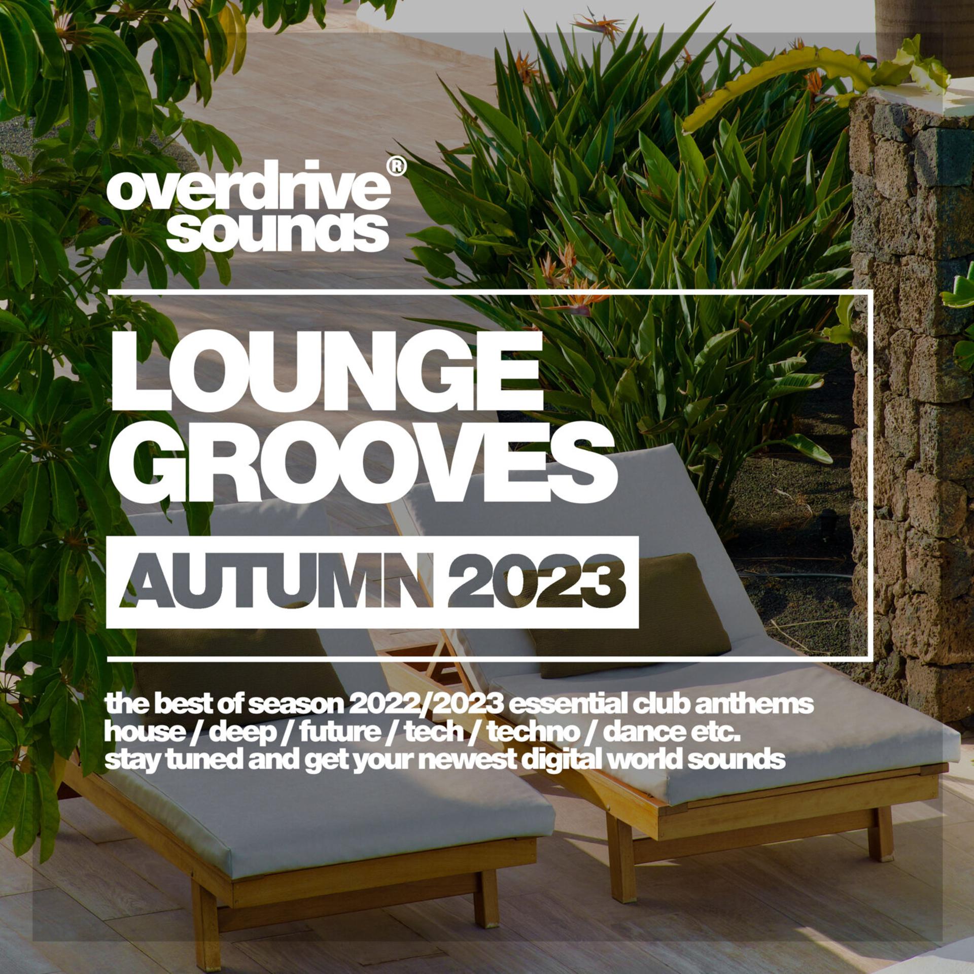 Постер альбома Lounge Grooves 2023