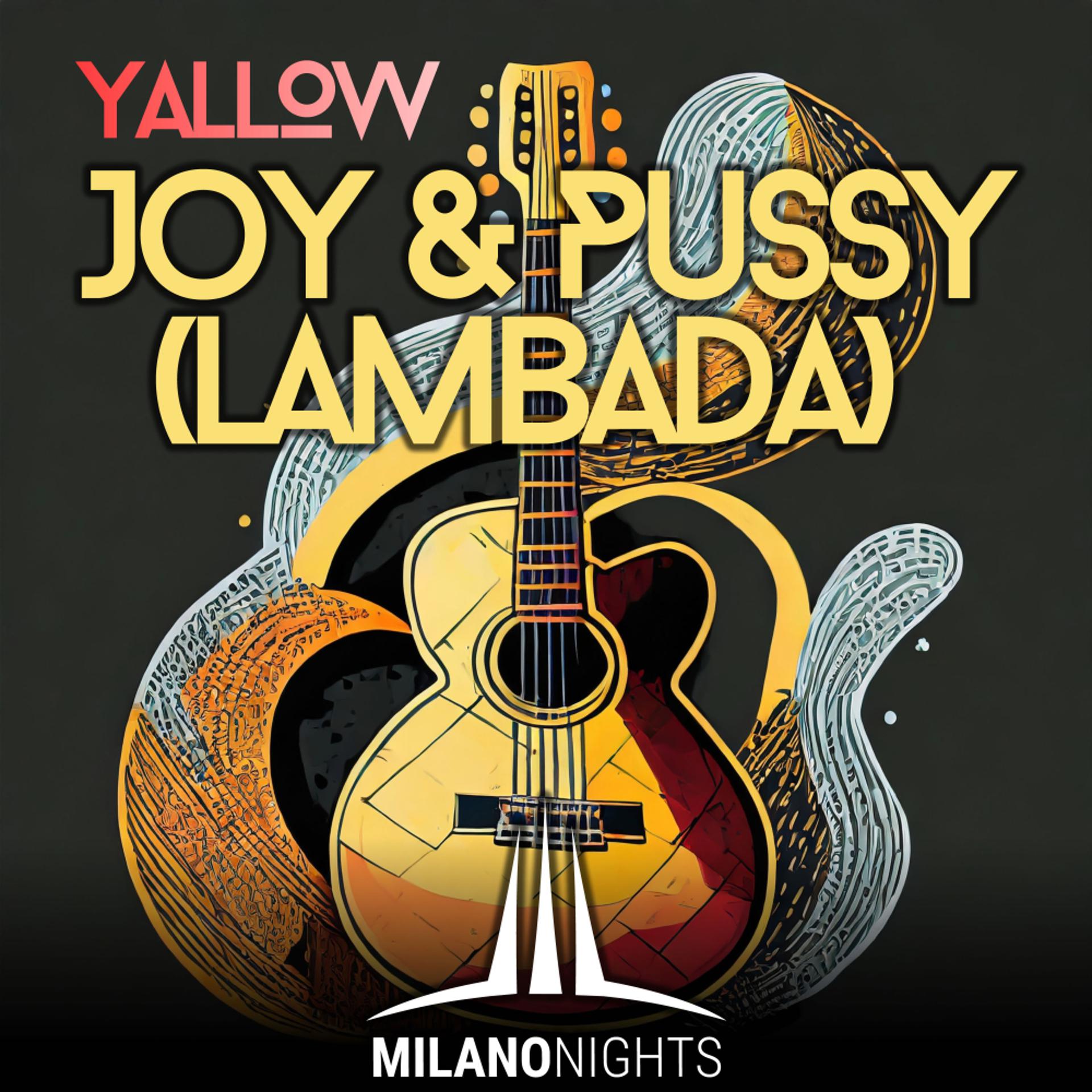 Постер альбома Joy & Pussy (Lambada)