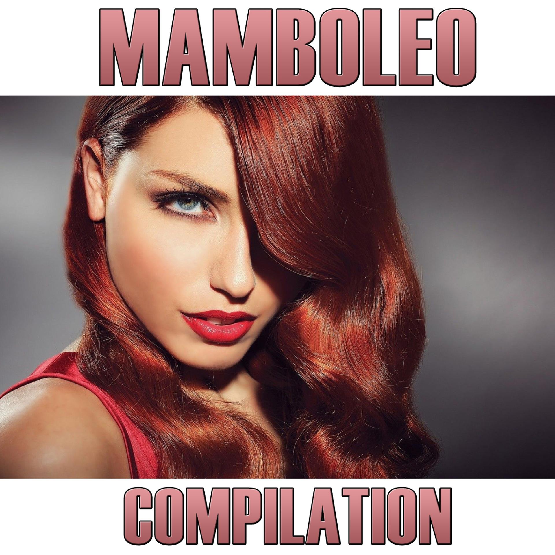 Постер альбома Mamboleo Compilation