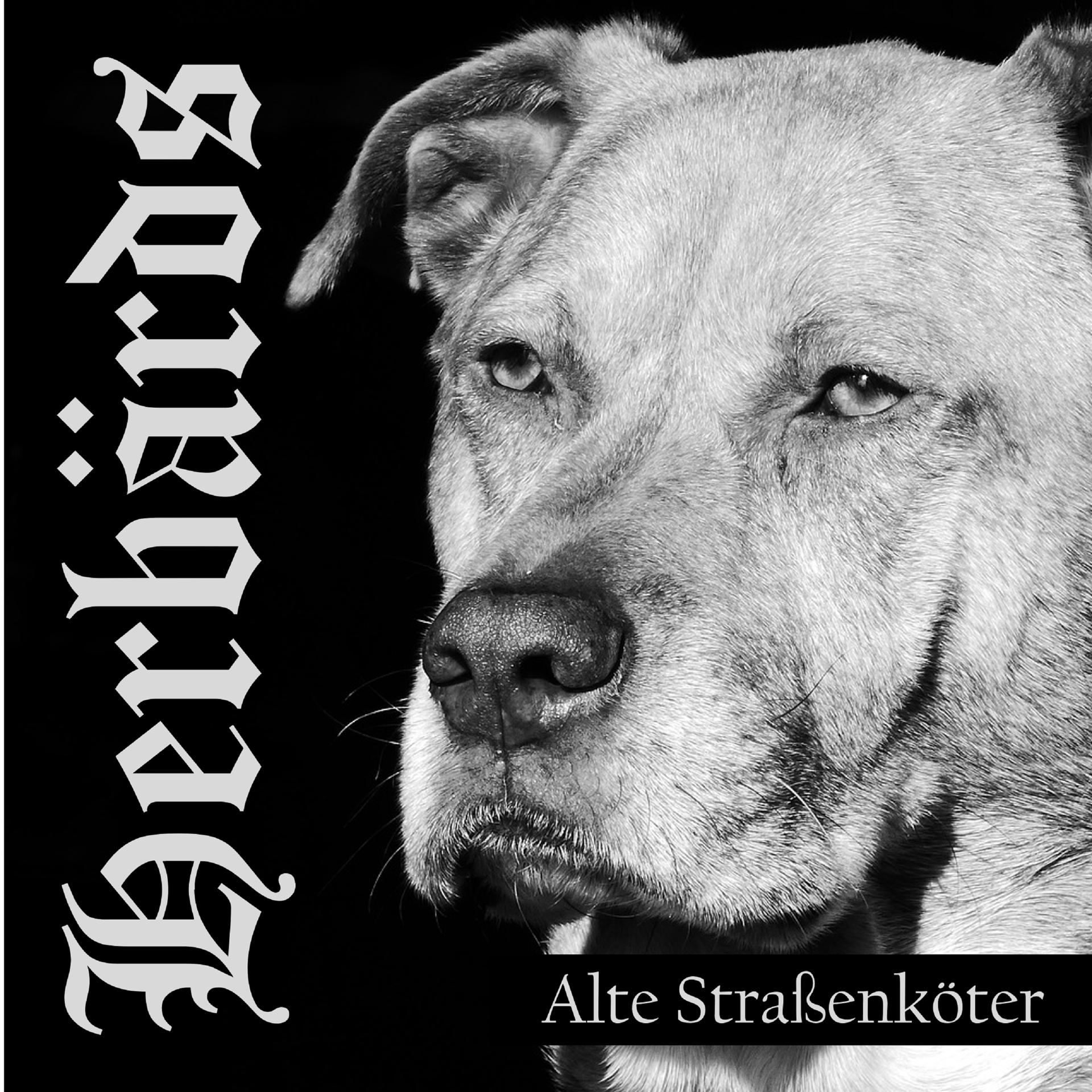 Постер альбома Alte Straßenköter