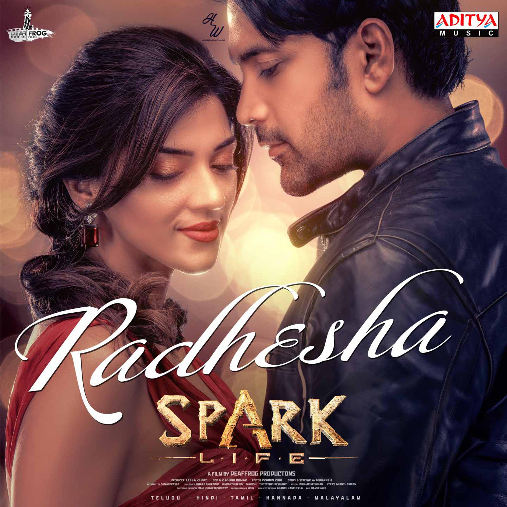 Постер альбома Radhesha