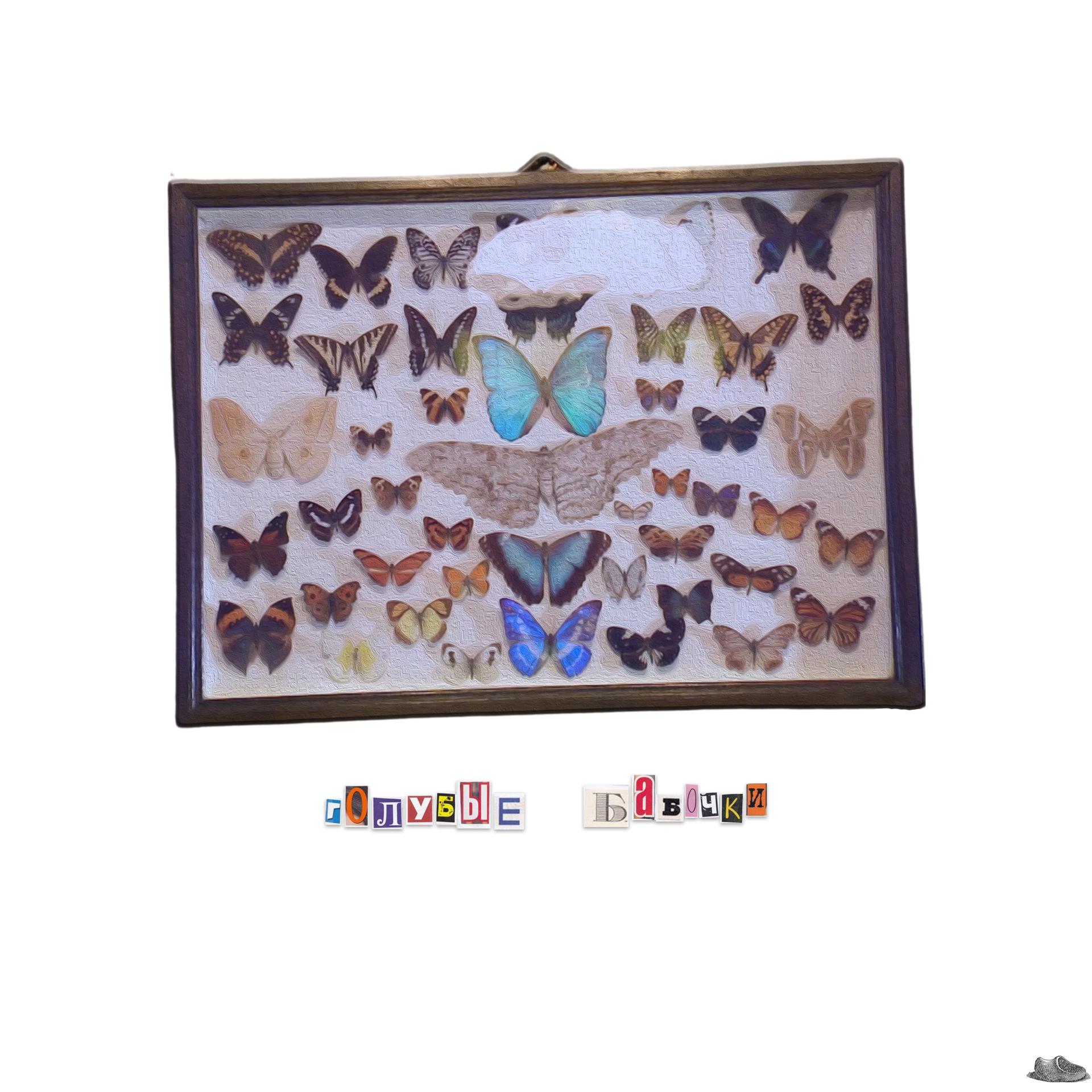 Постер альбома Голубые бабочки