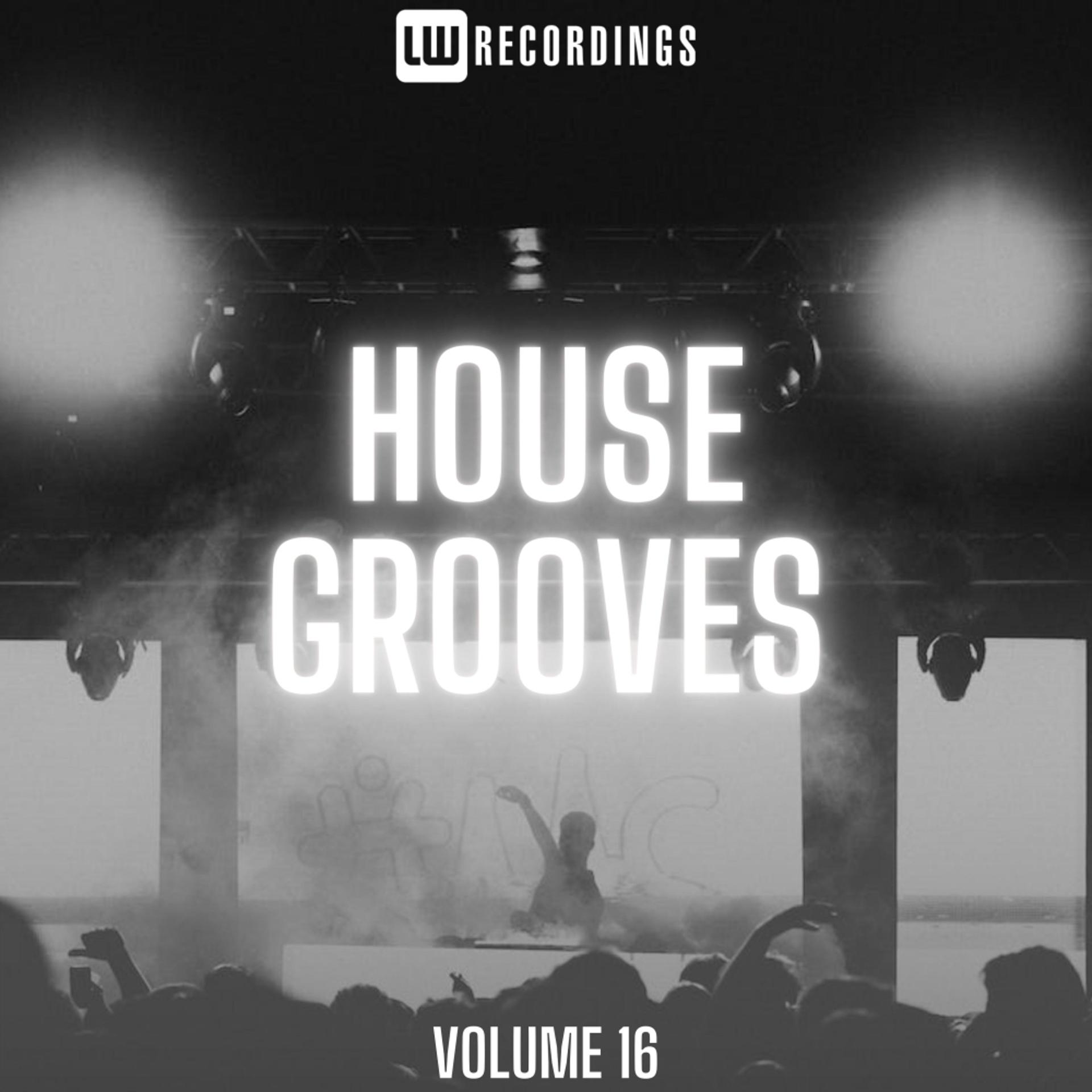 Постер альбома House Grooves, Vol. 16
