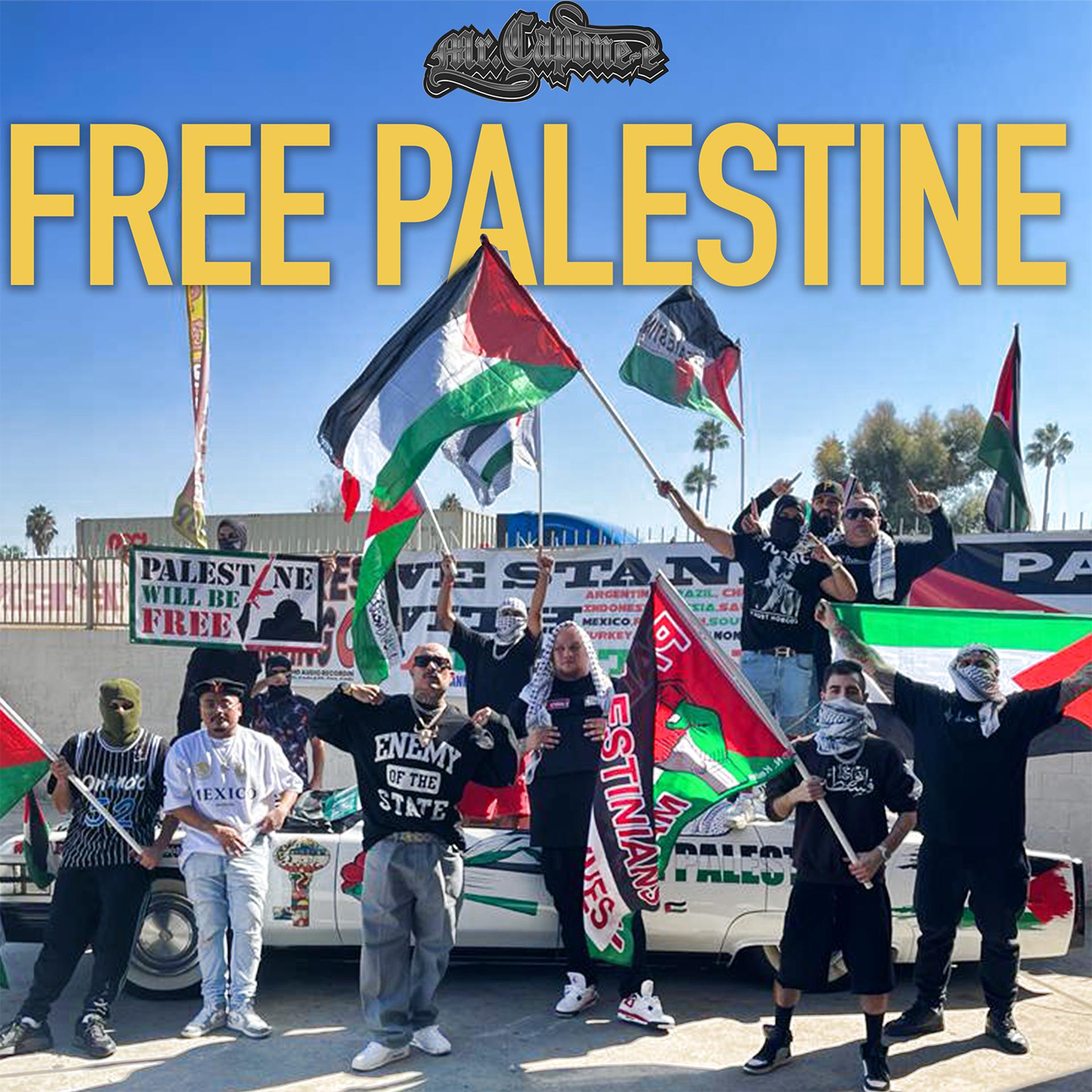 Постер альбома Free Palestine