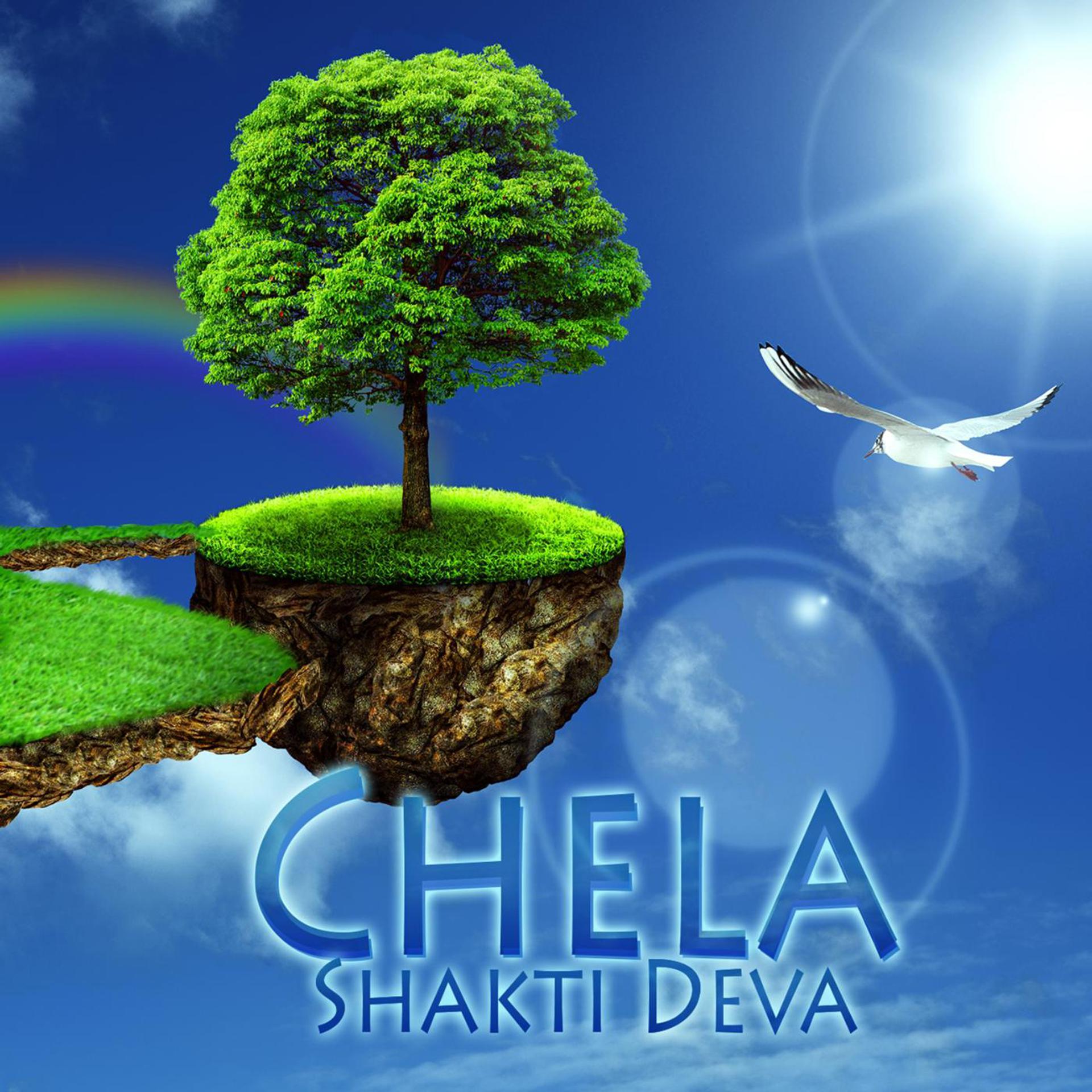 Постер альбома Chela