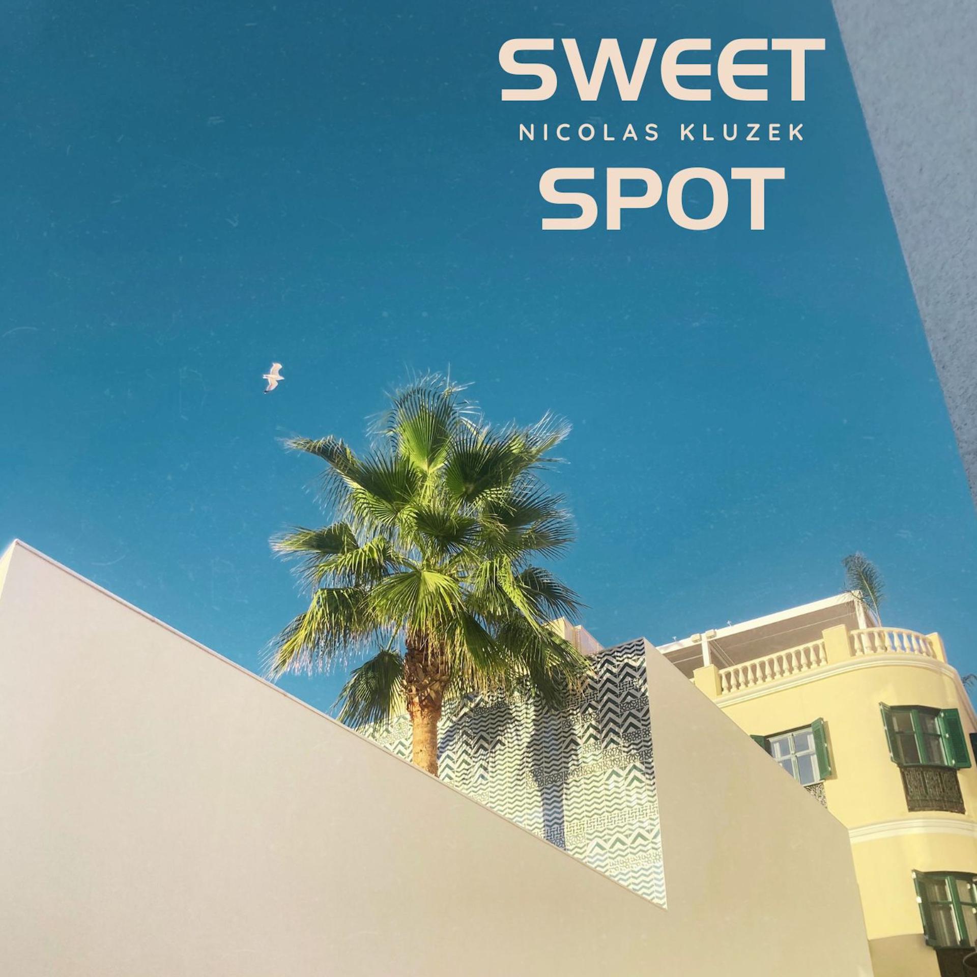 Постер альбома Sweet Spot