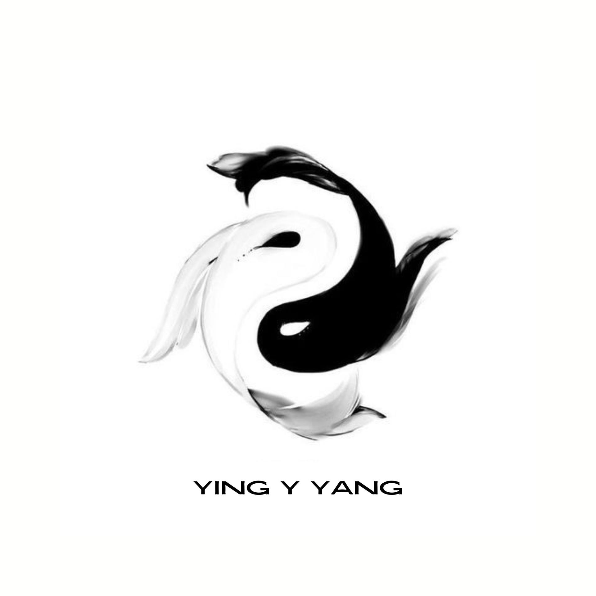 Постер альбома Yin Y Yang
