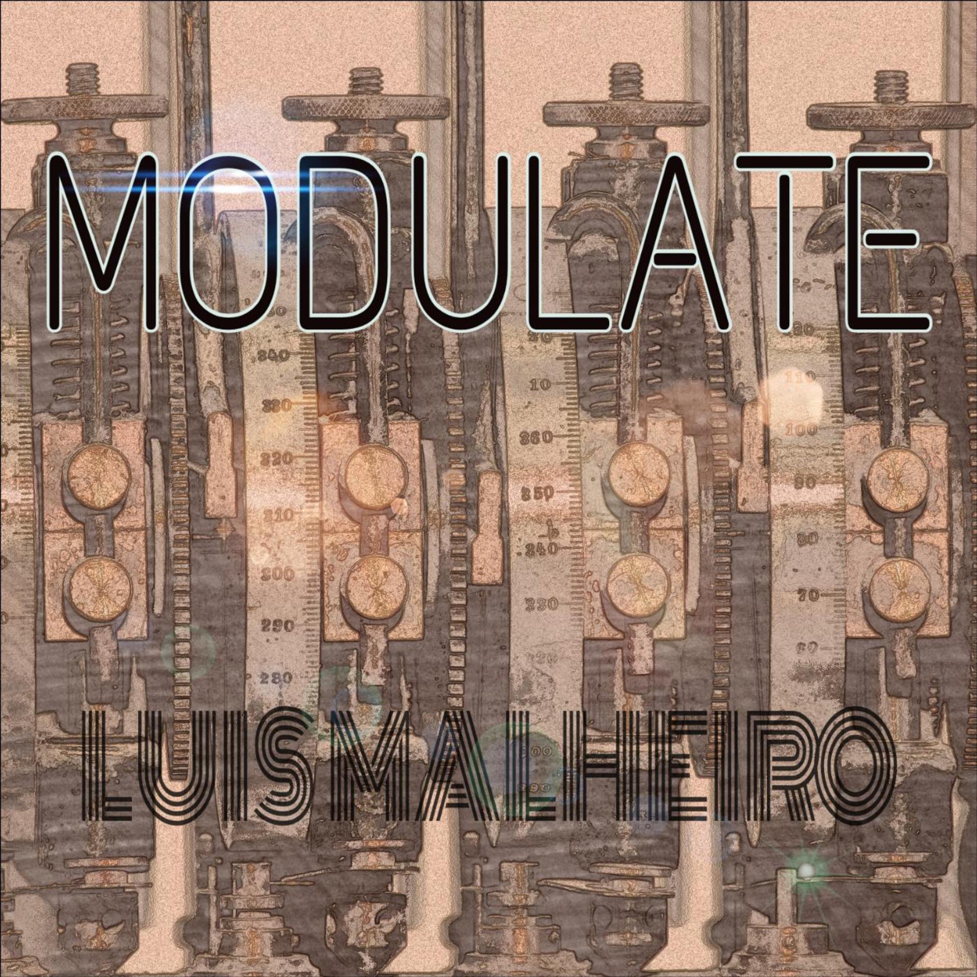 Постер альбома Modulate
