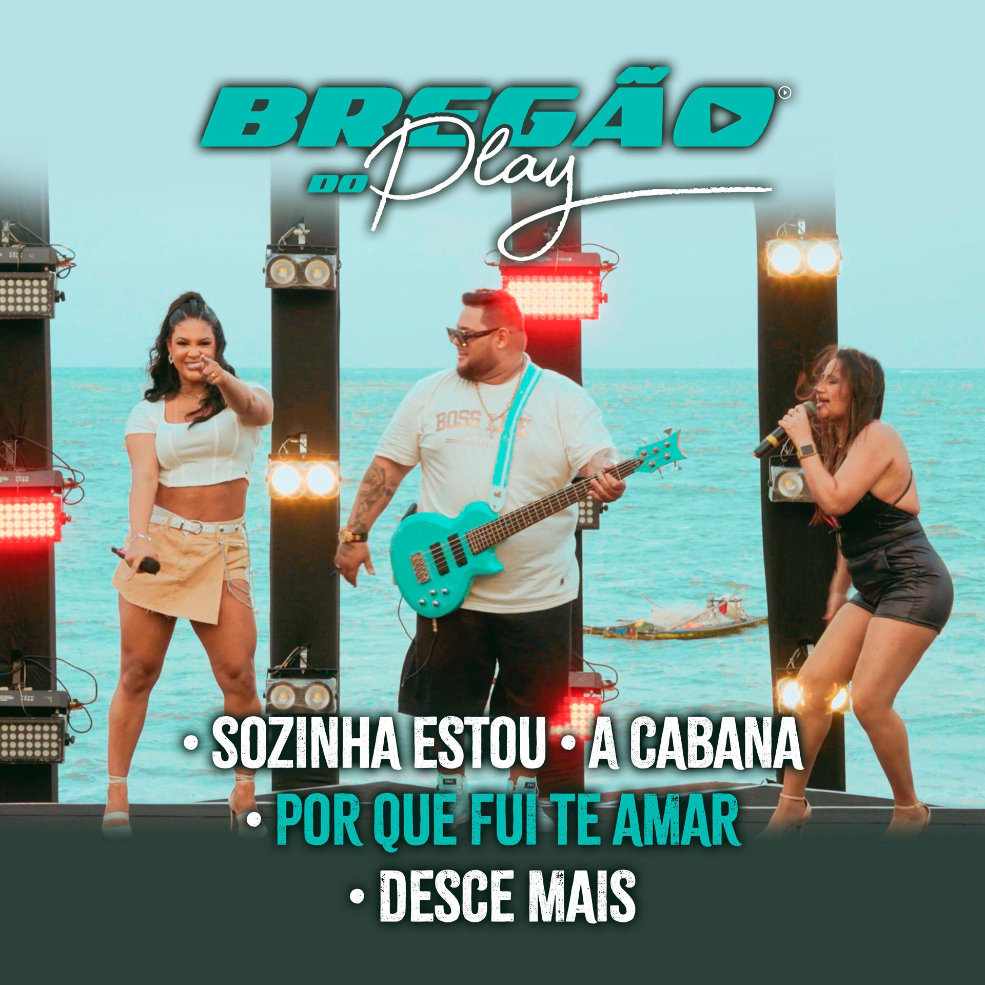 Постер альбома Sozinha Estou / A Cabana / Por Que Fui Te Amar / Desce Mais