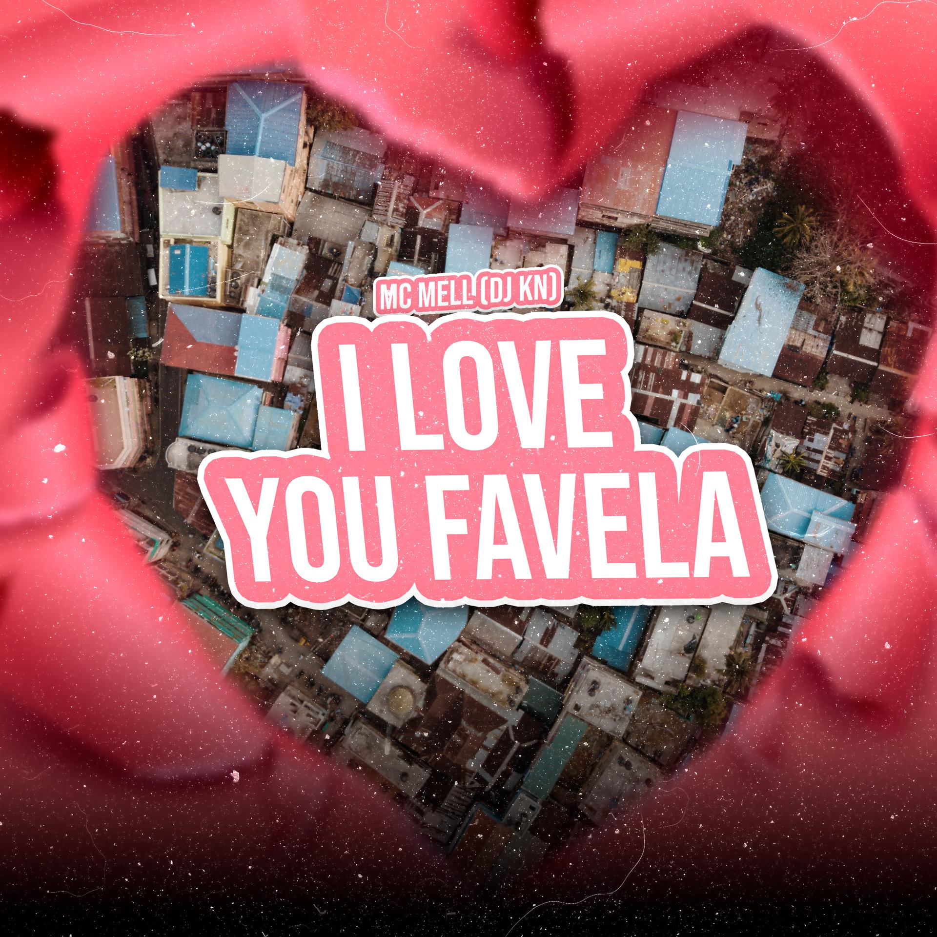 Постер альбома I Love You Favela