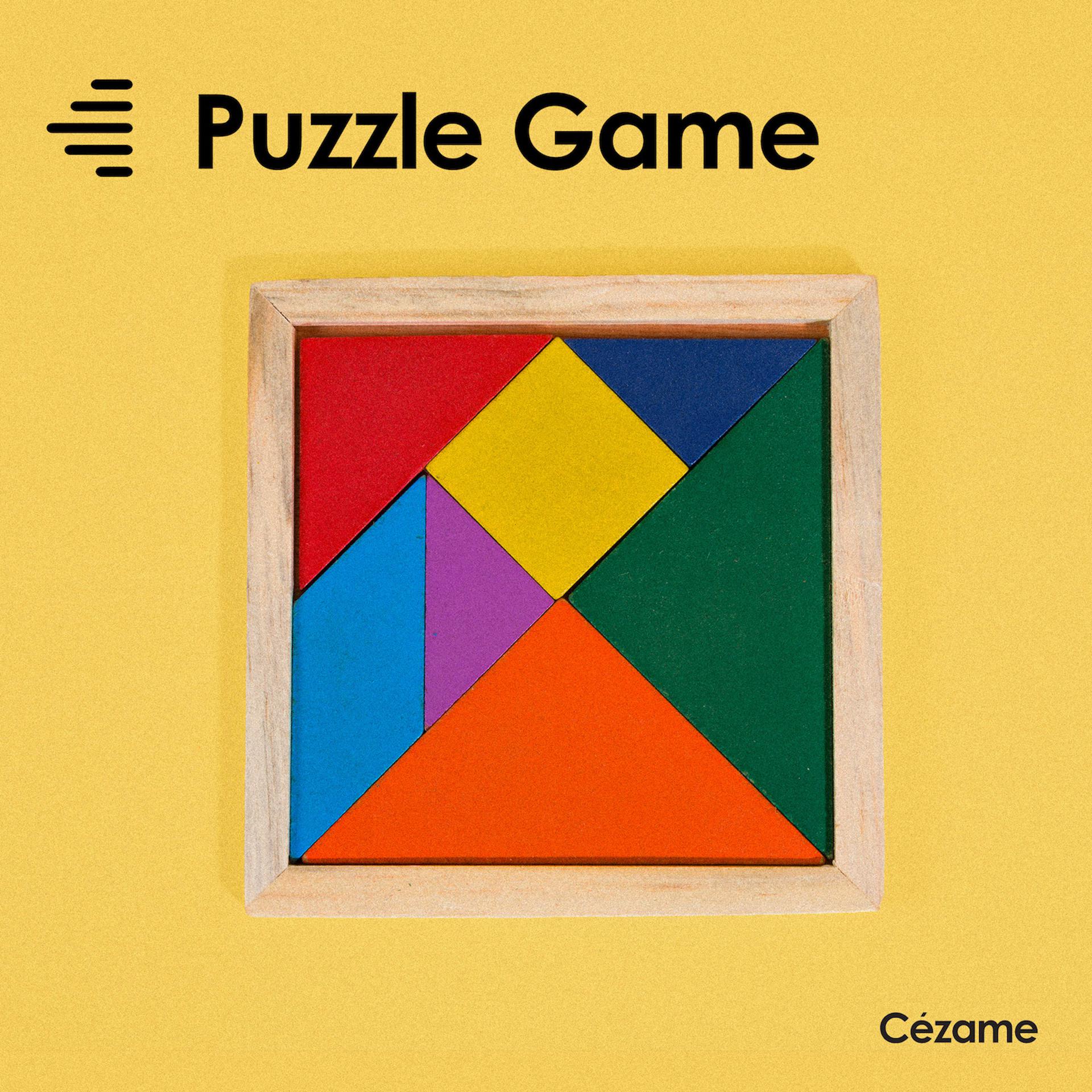 Постер альбома Puzzle Game
