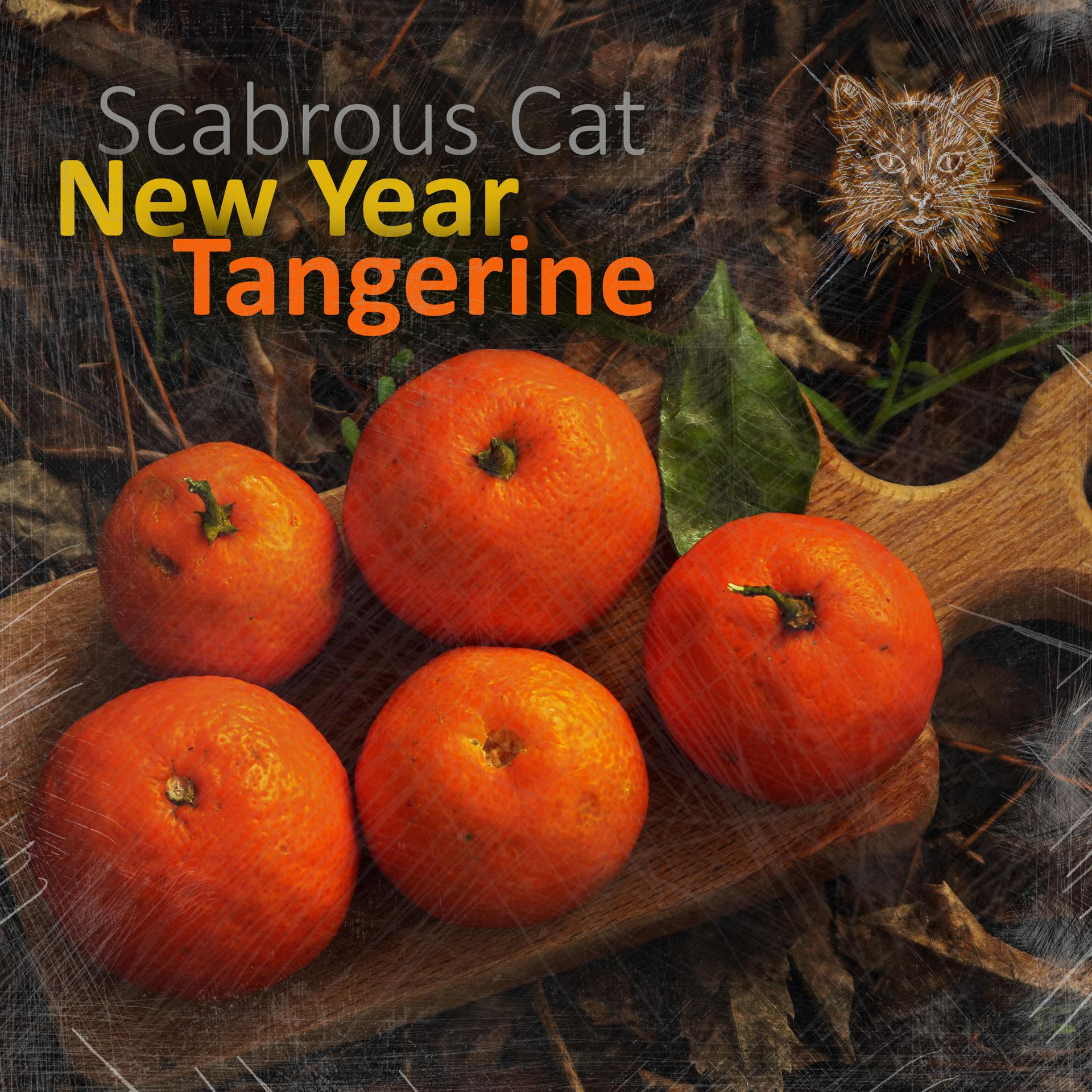 Постер альбома New Year Tangerine