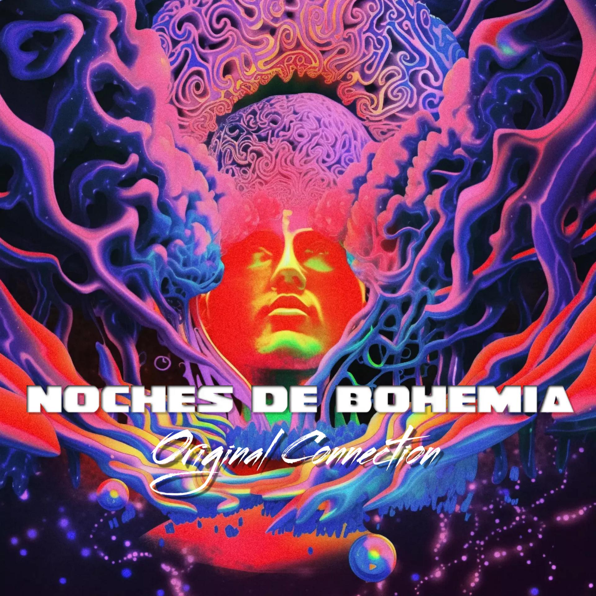 Постер альбома Noches de Bohemia