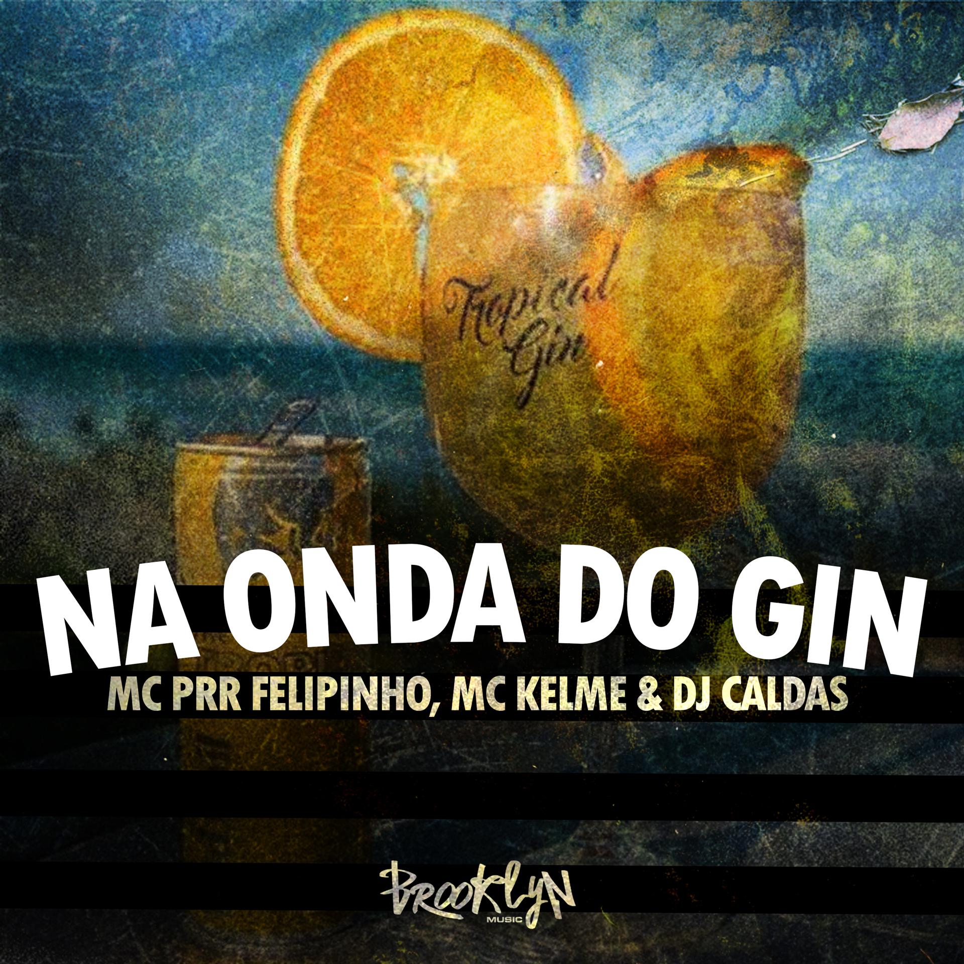 Постер альбома Na Onda do Gin