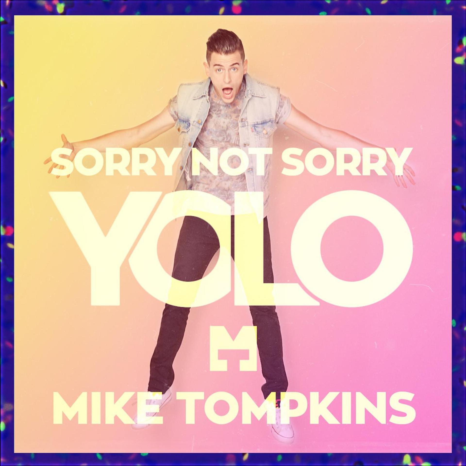 Постер альбома Sorry Not Sorry (Yolo)