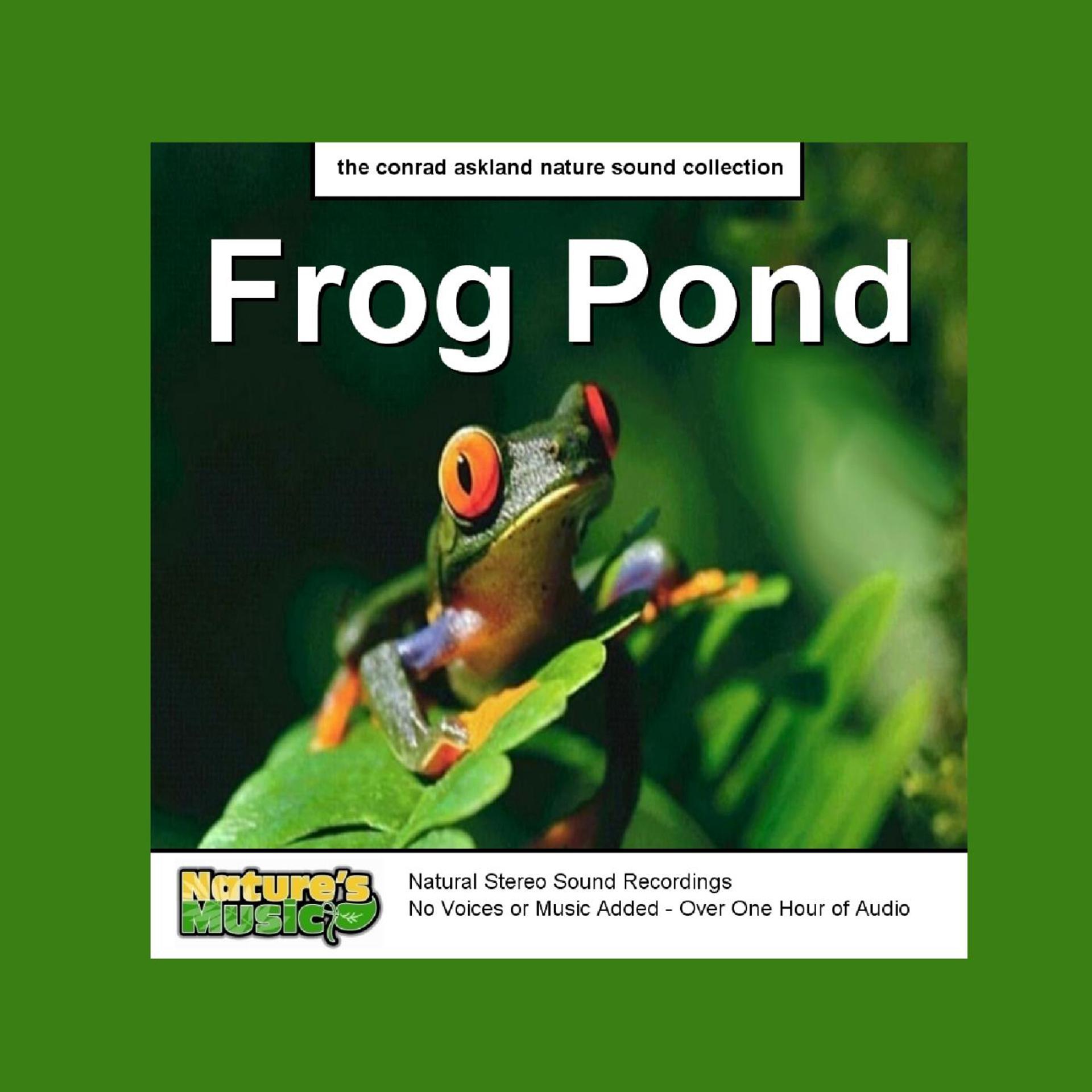 Постер альбома Frog Pond - Nature Recordings and Sounds of Frogs