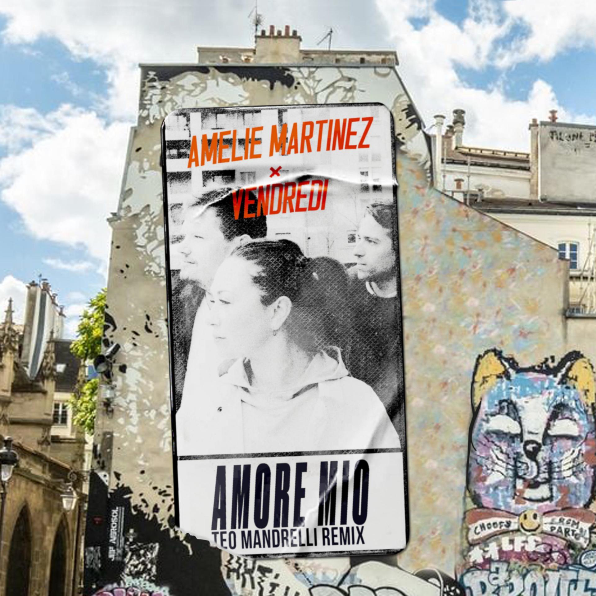 Постер альбома Amore Mio (Teo Mandrelli Remix)