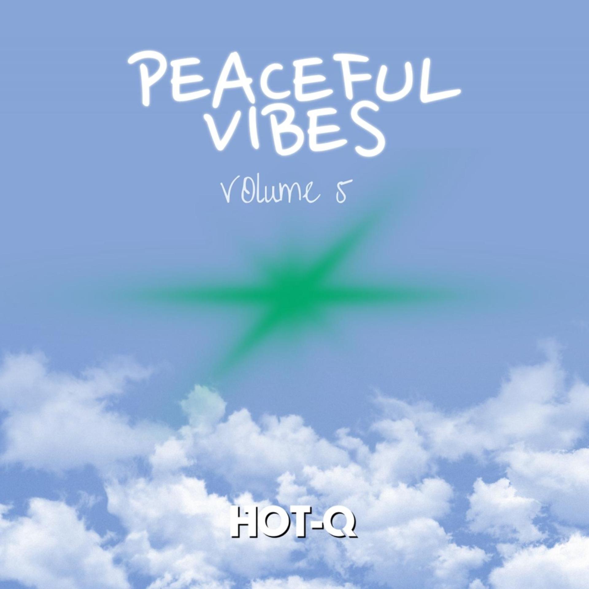 Постер альбома Peaceful Vibes 005