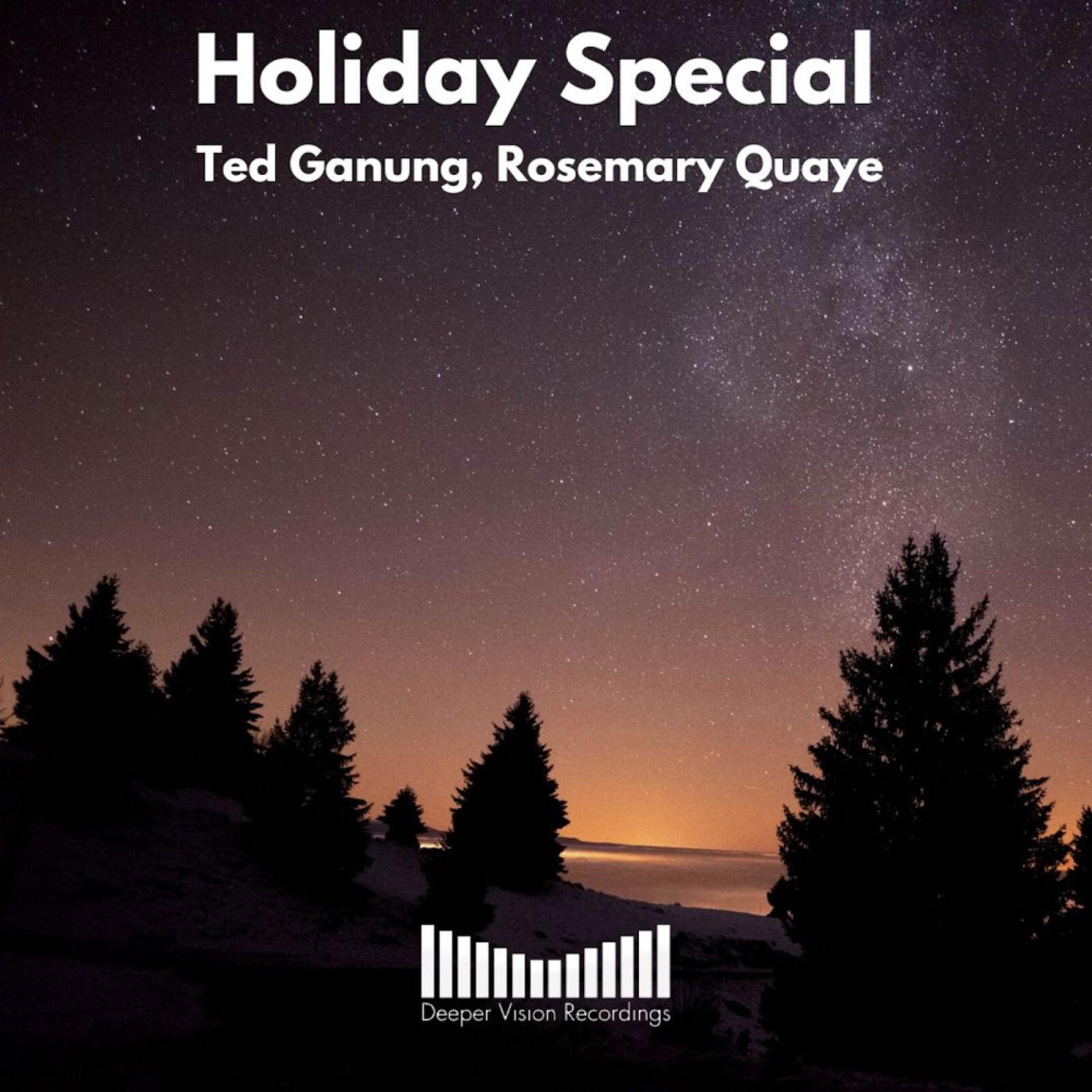 Постер альбома Holiday Special