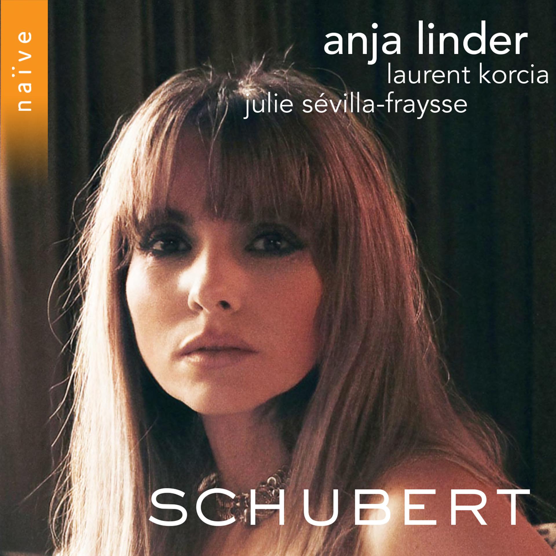Постер альбома Schubert