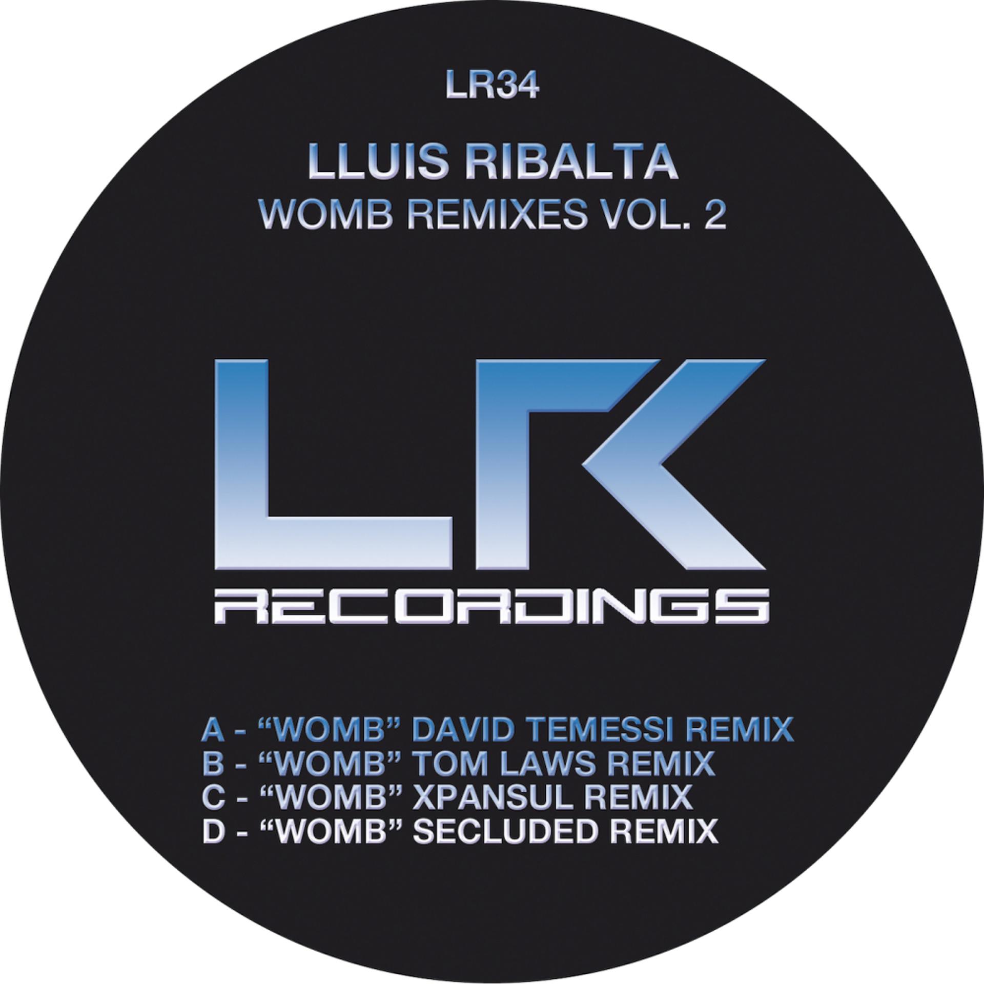 Постер альбома Womb Remixes Vol. 2