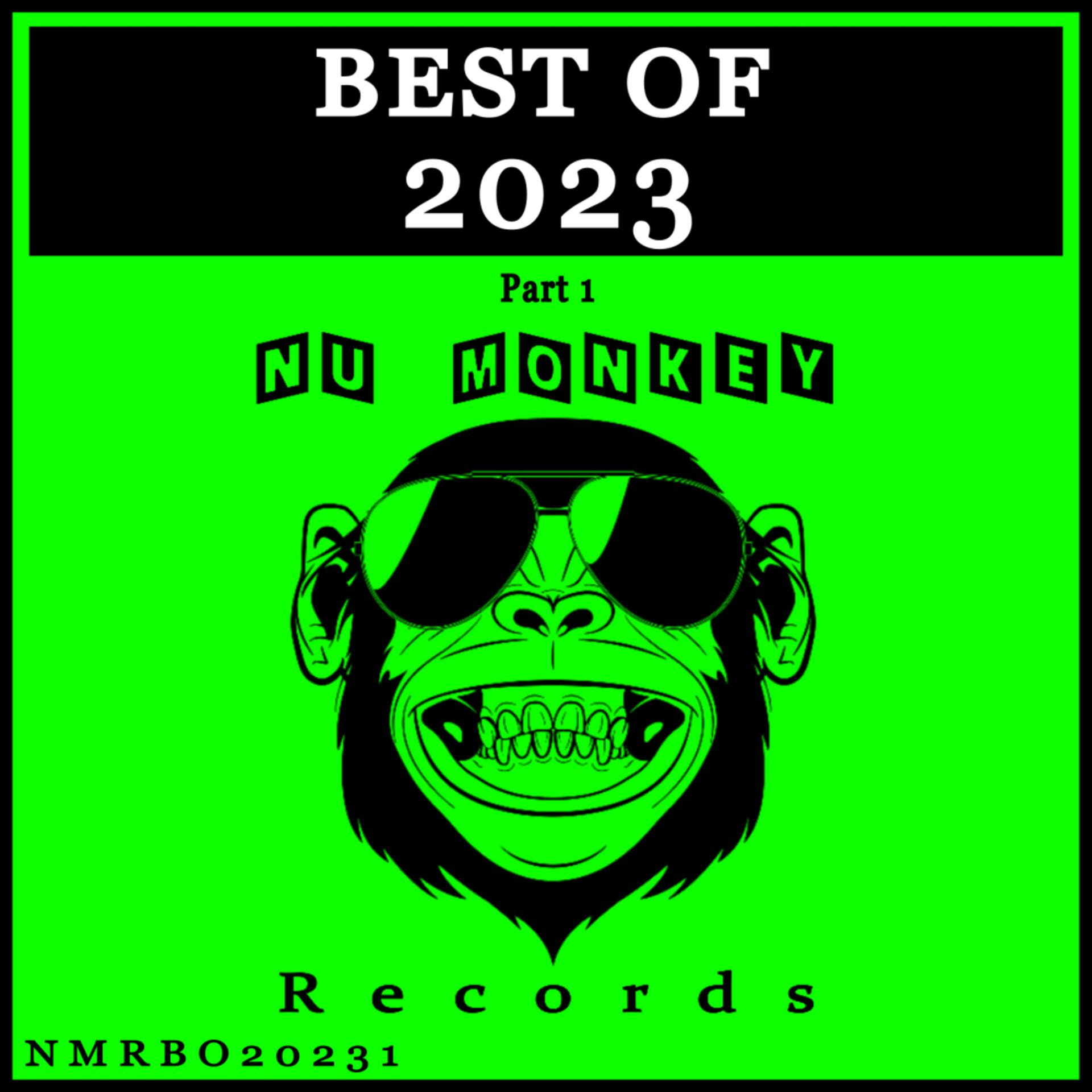 Постер альбома Best Of Nu Monkey Records 2023, Pt. 1