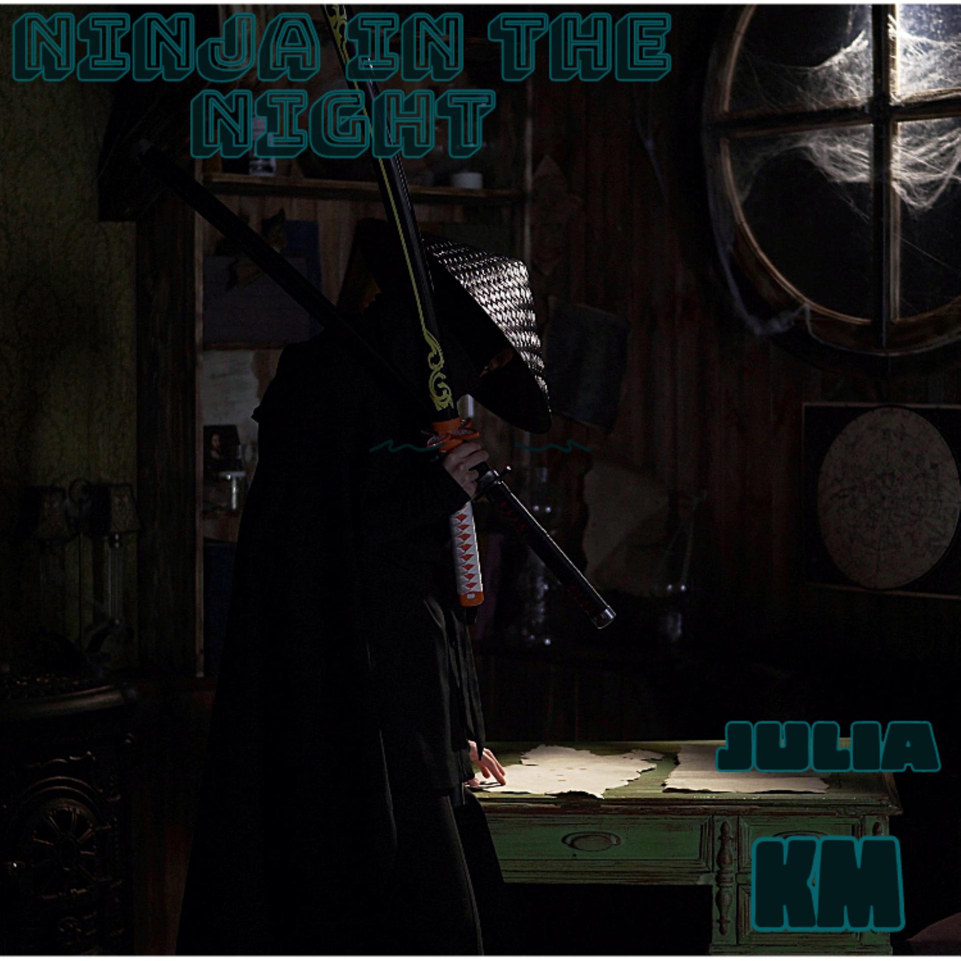 Постер альбома Ninja in the Night