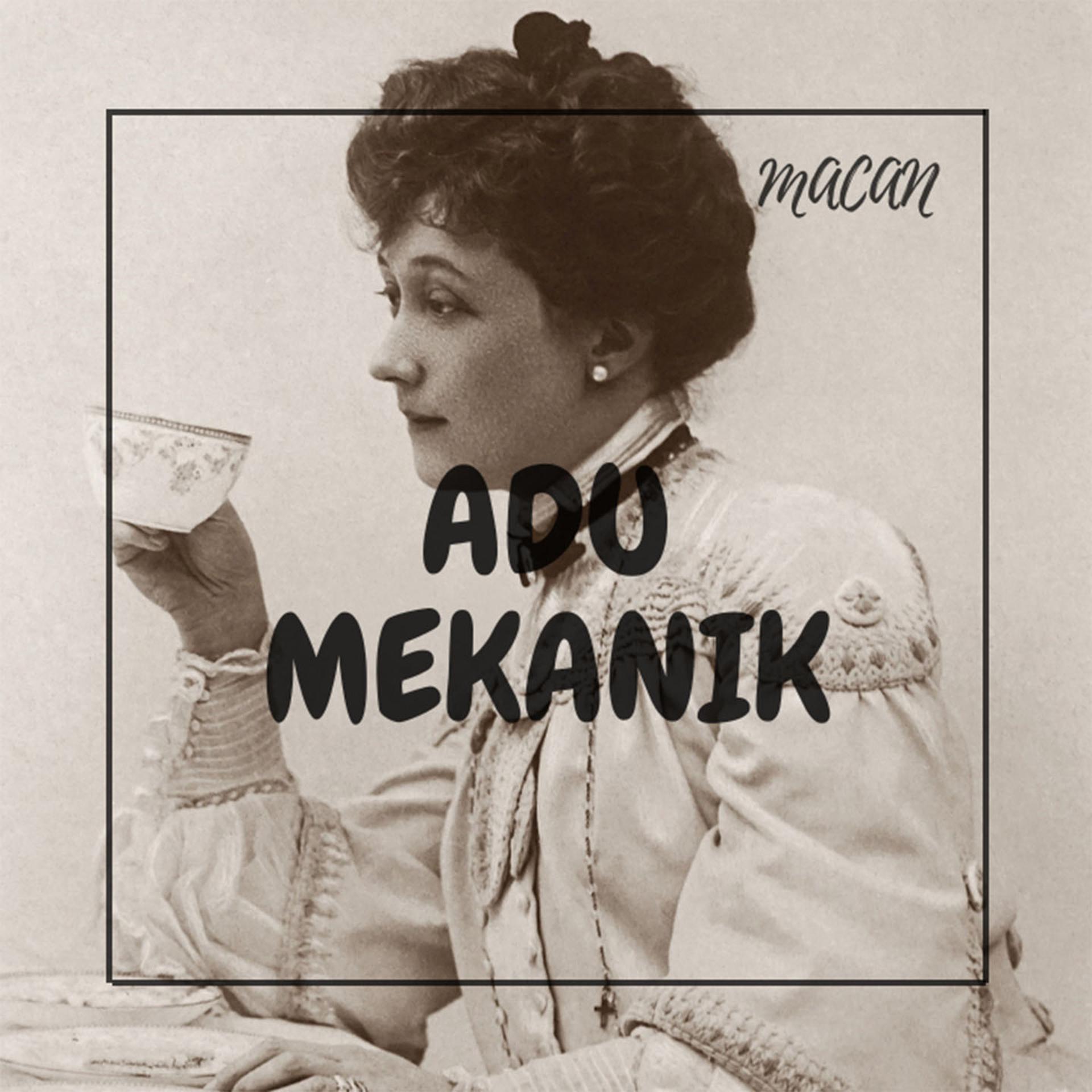 Постер альбома ADU MEKANIK