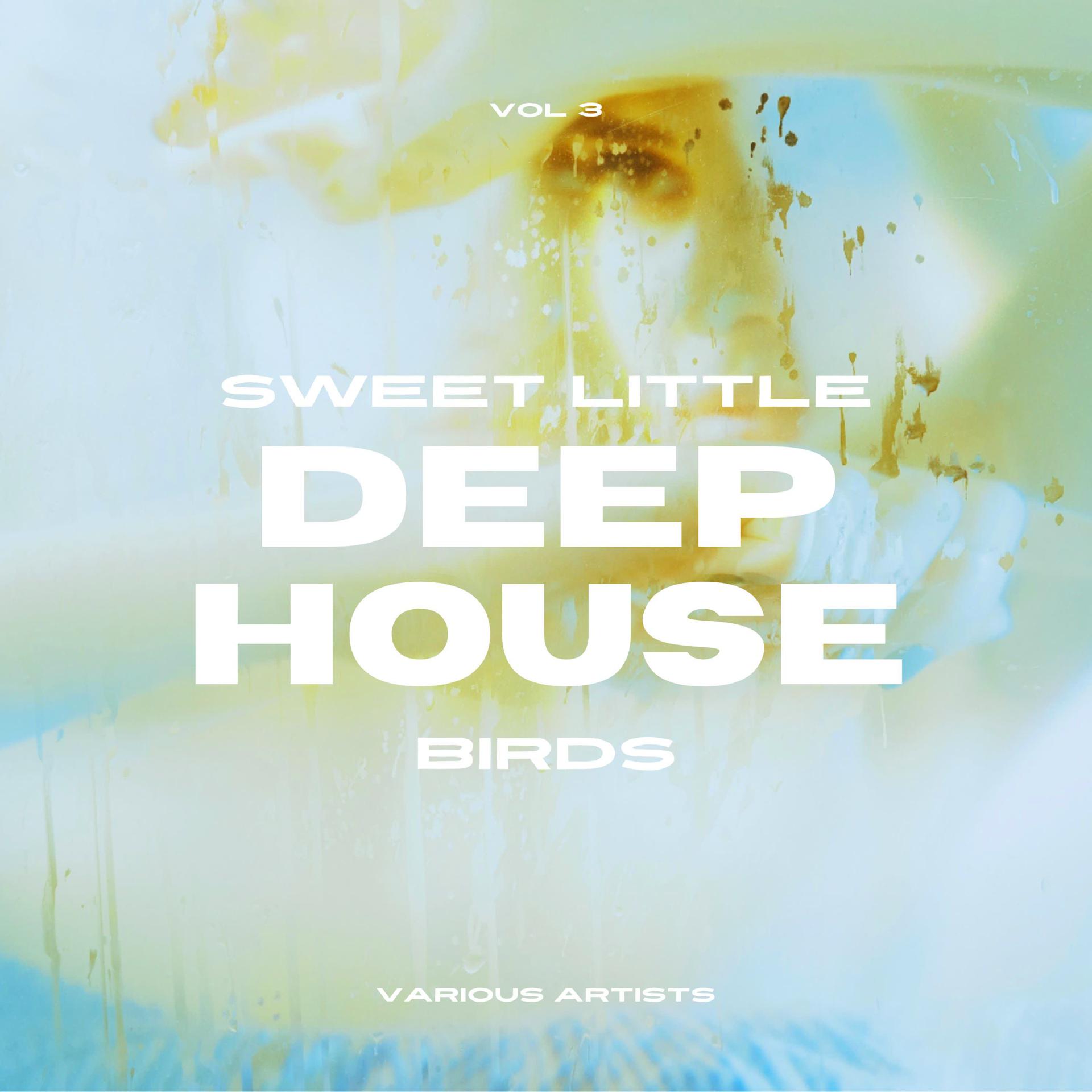Постер альбома Sweet Little Deep-House Birds, Vol. 3