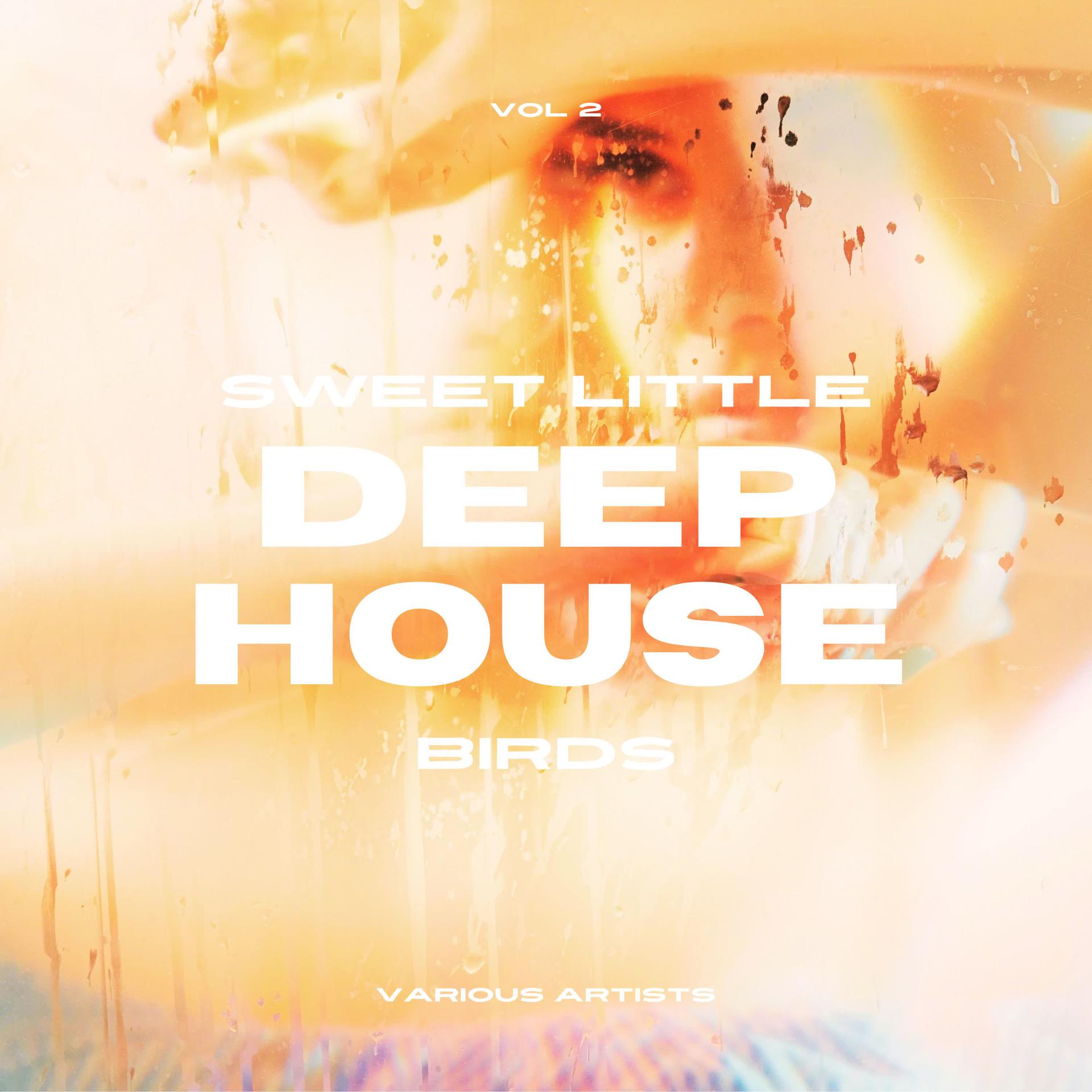Постер альбома Sweet Little Deep-House Birds, Vol. 2