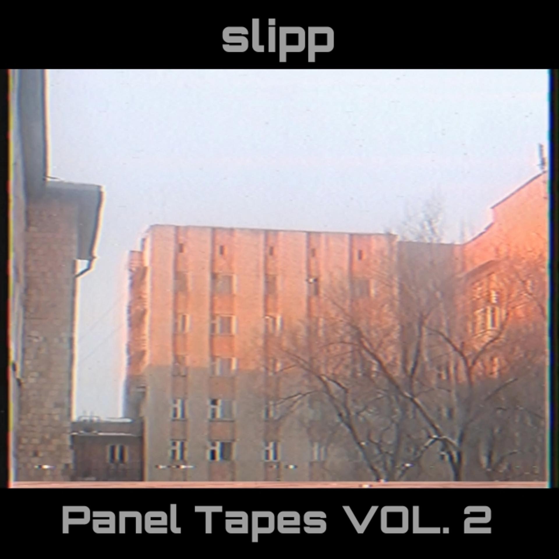 Постер альбома Panel Tapes