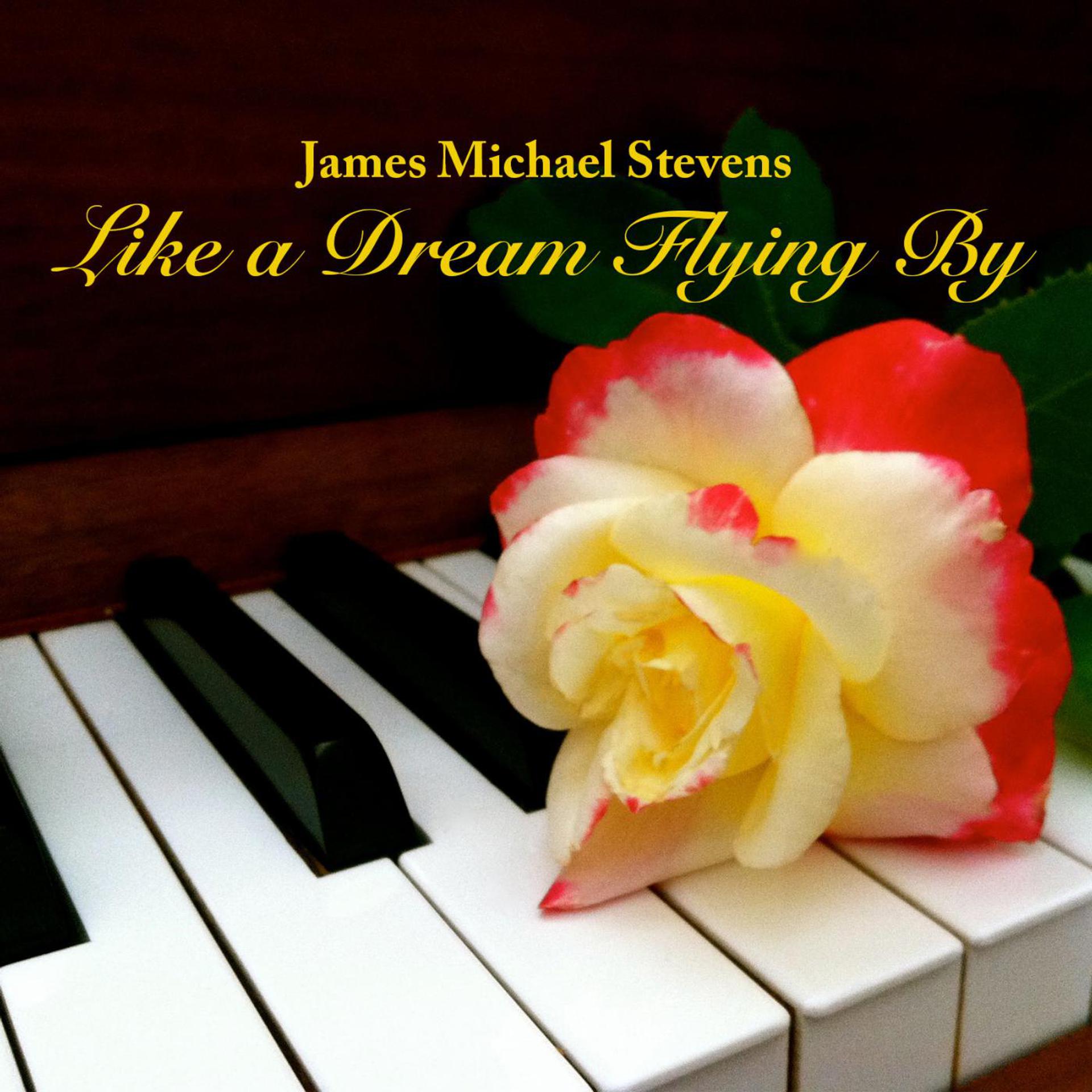Постер альбома Like a Dream Flying By