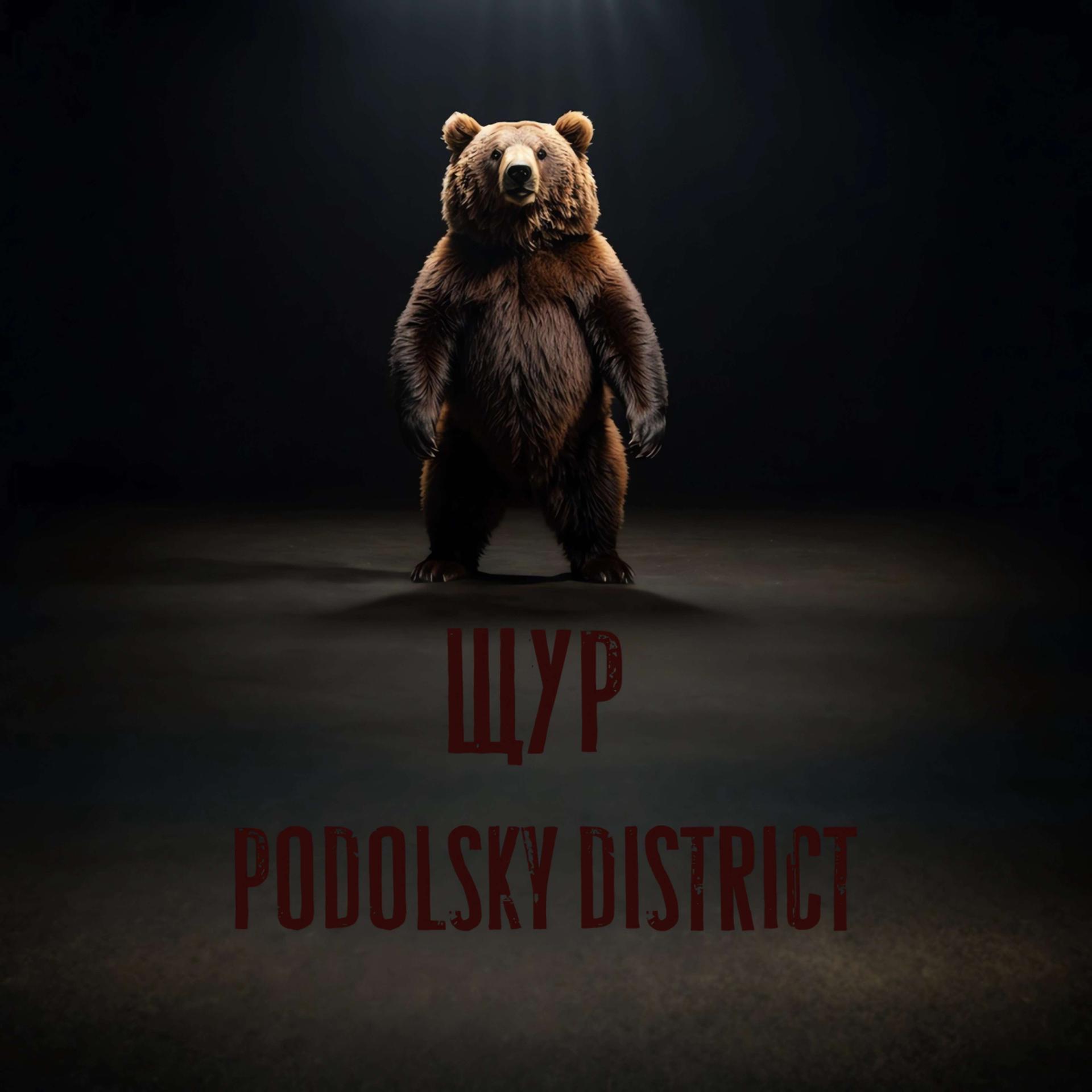 Постер альбома PODOLSKY DISTRICT