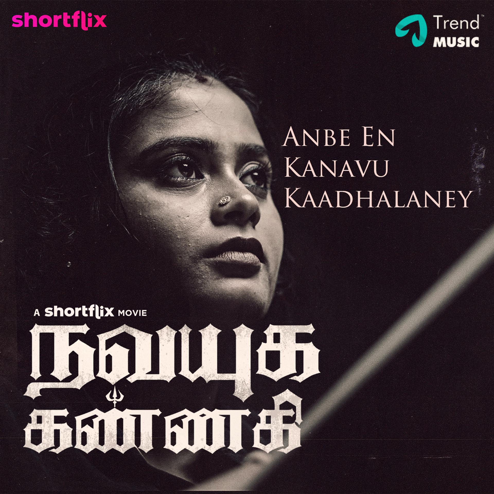 Постер альбома Anbe En Kanavu Kaadhalaney