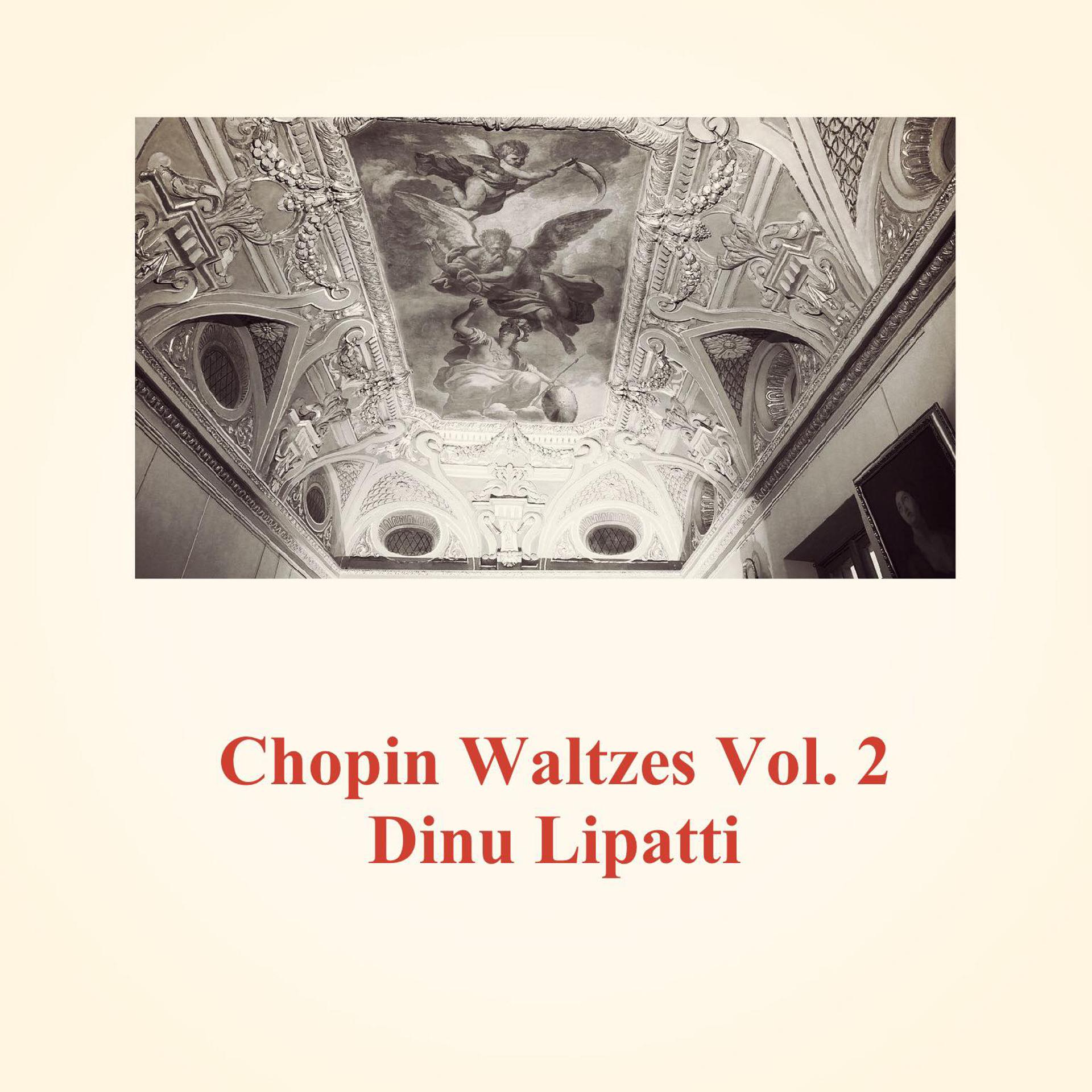 Постер альбома Chopin Waltzes, Vol. 2