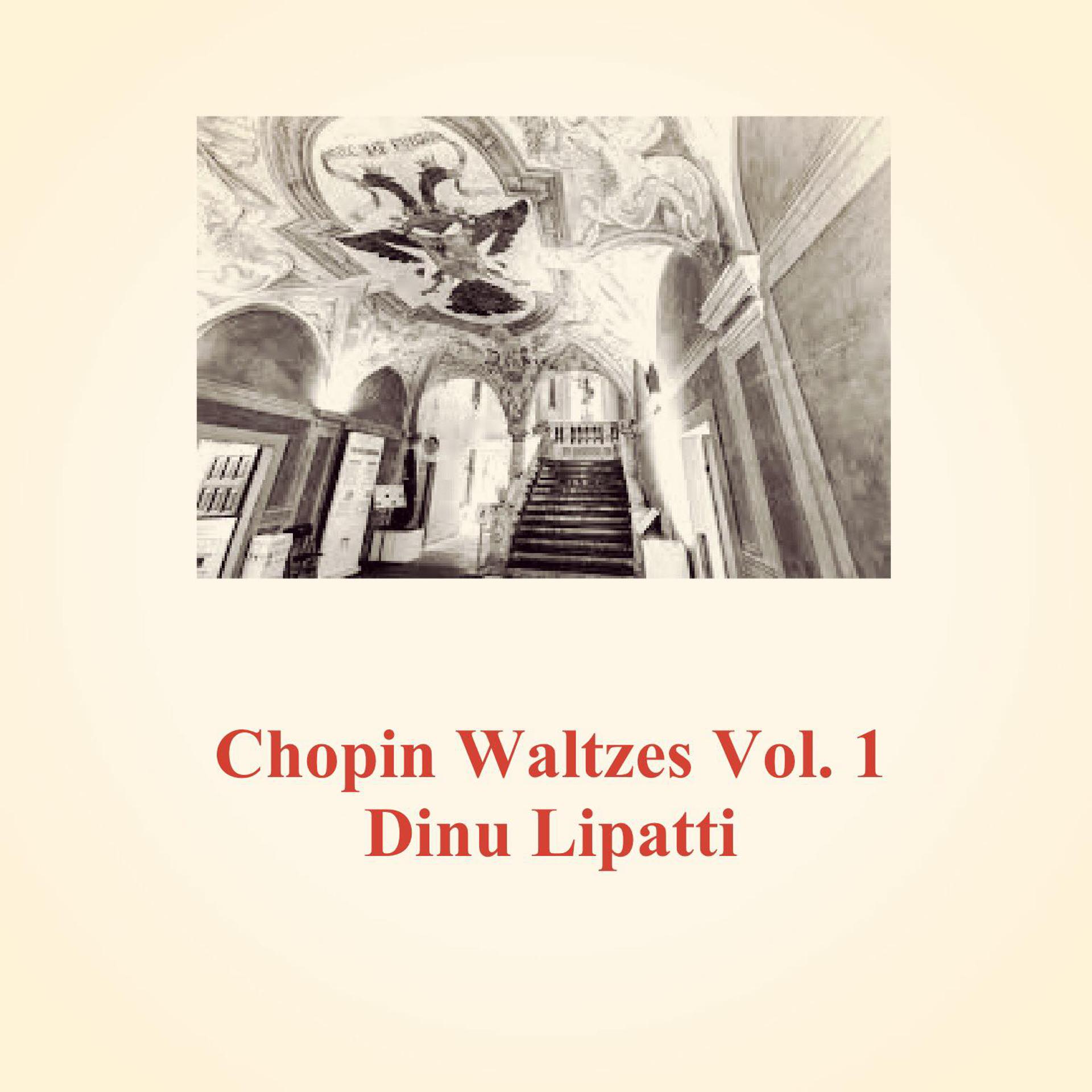 Постер альбома Chopin Waltzes, Vol. 1