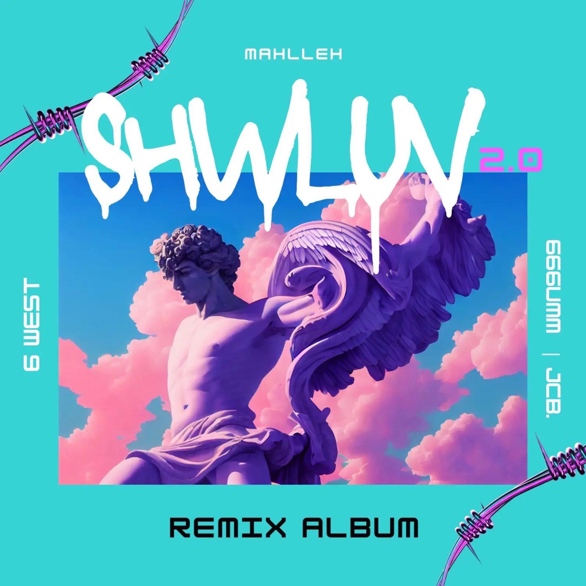 Постер альбома Shwluv (Remixes)