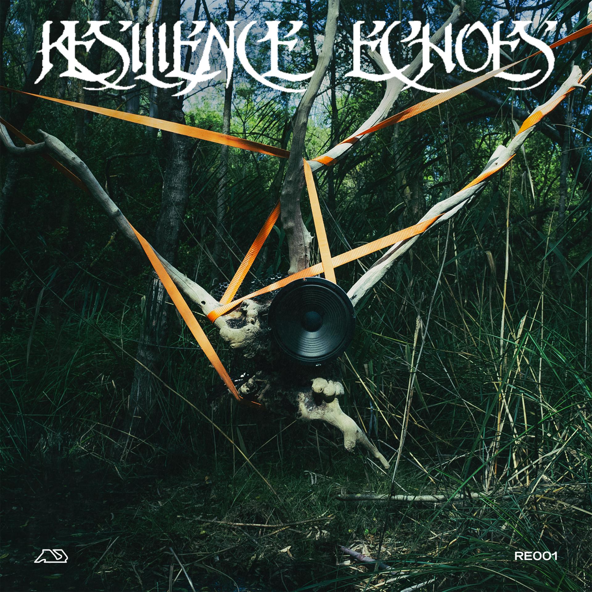 Постер альбома Resilience Echoes