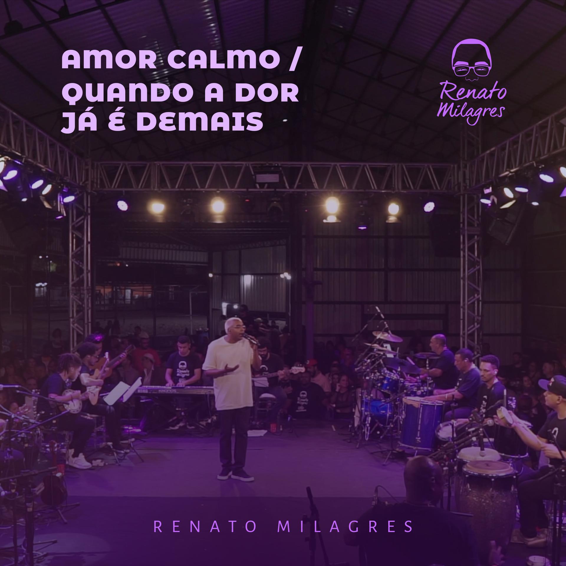 Постер альбома Amor Calmo / Quando A Dor Já É Demais