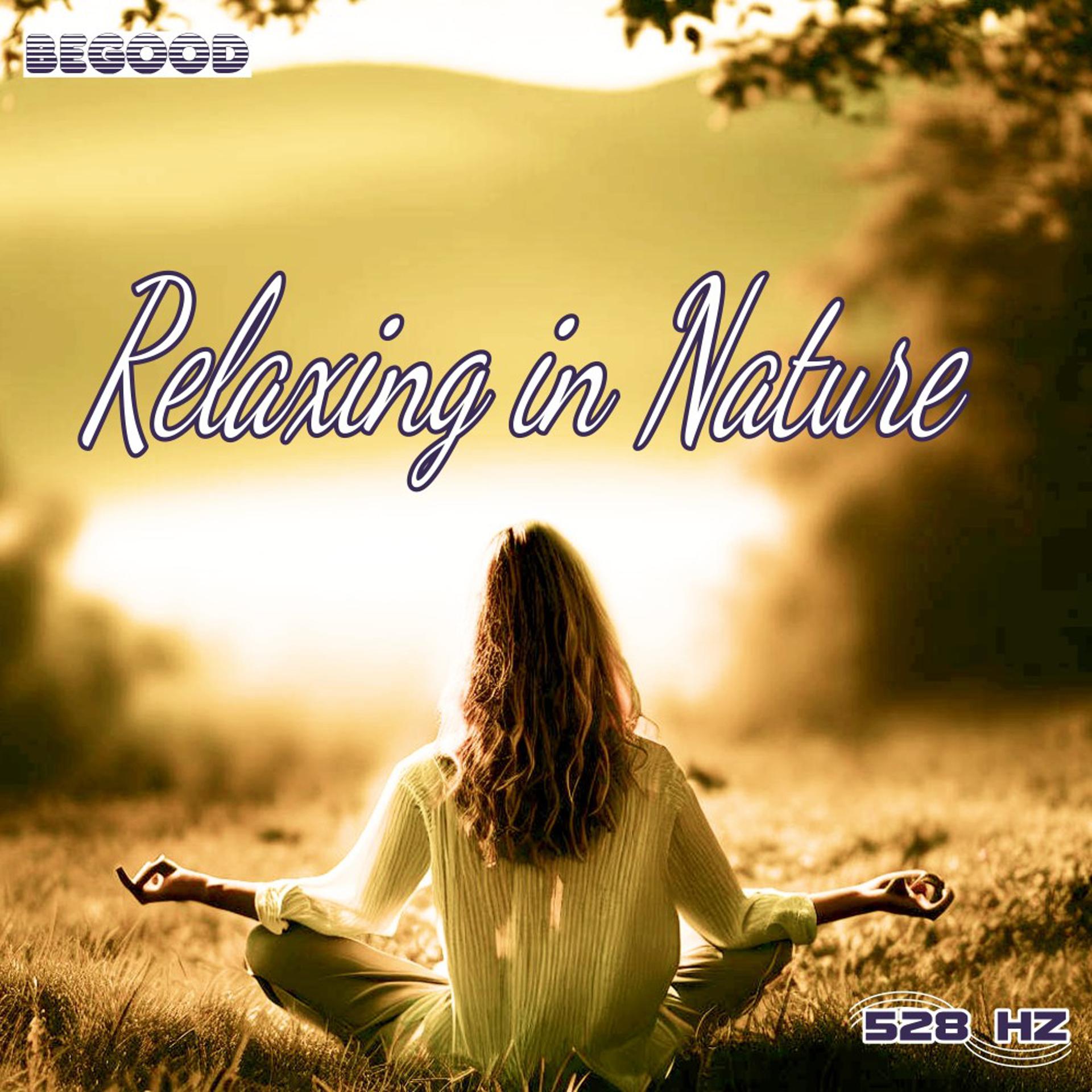 Постер альбома Relaxing in Nature (528Hz)