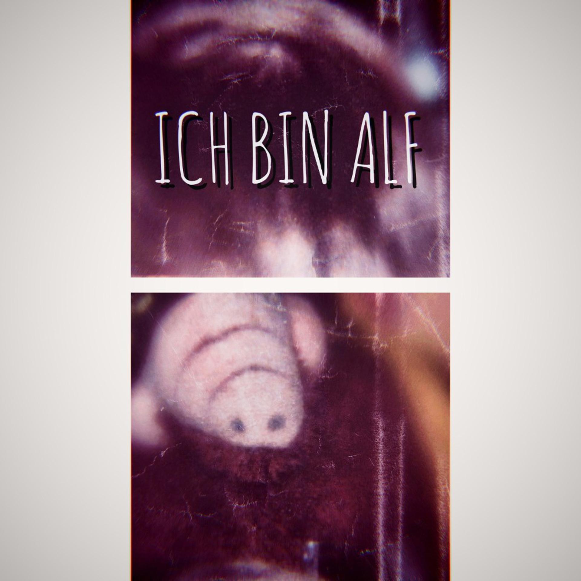 Постер альбома Ich bin Alf