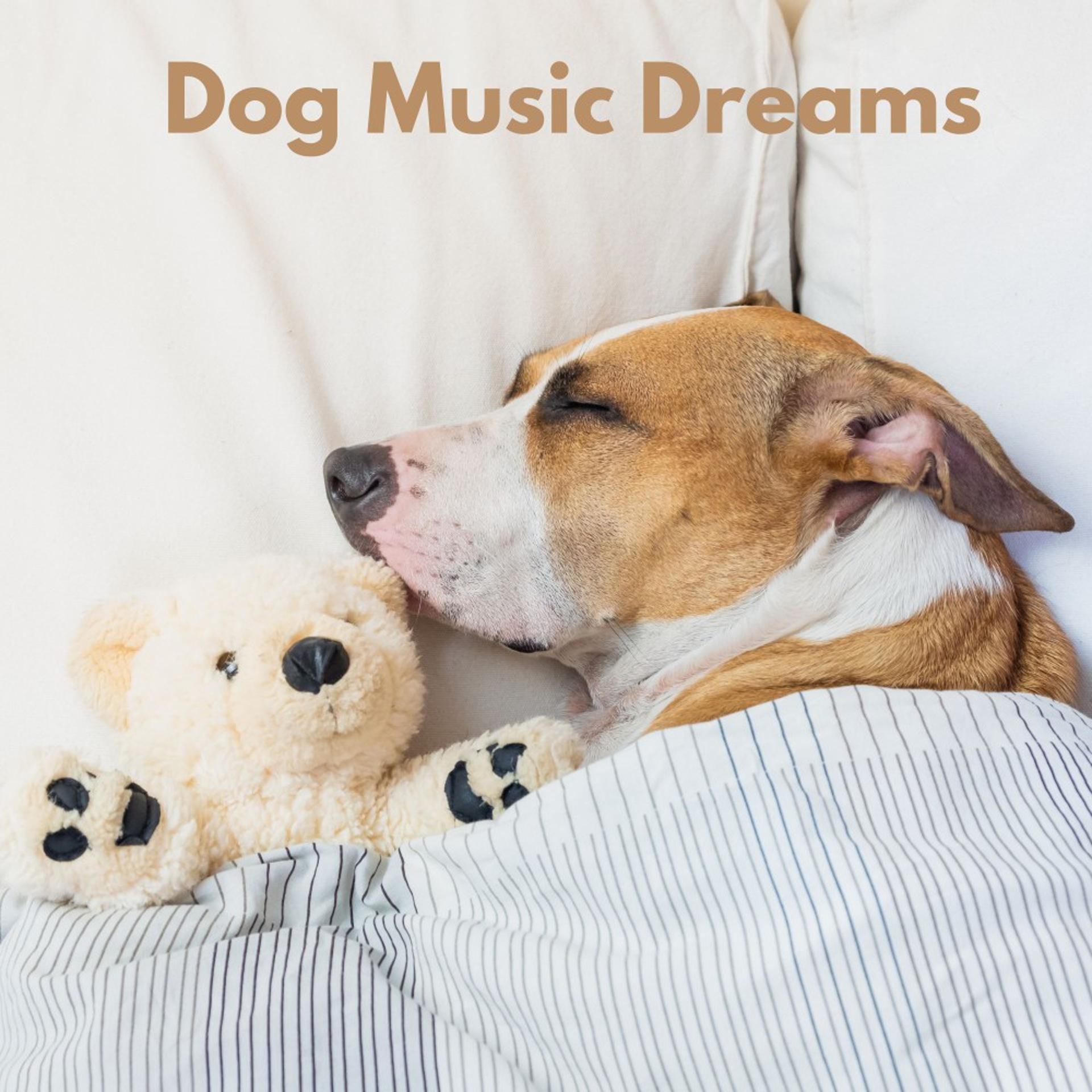 Постер альбома Dog Music Dreams