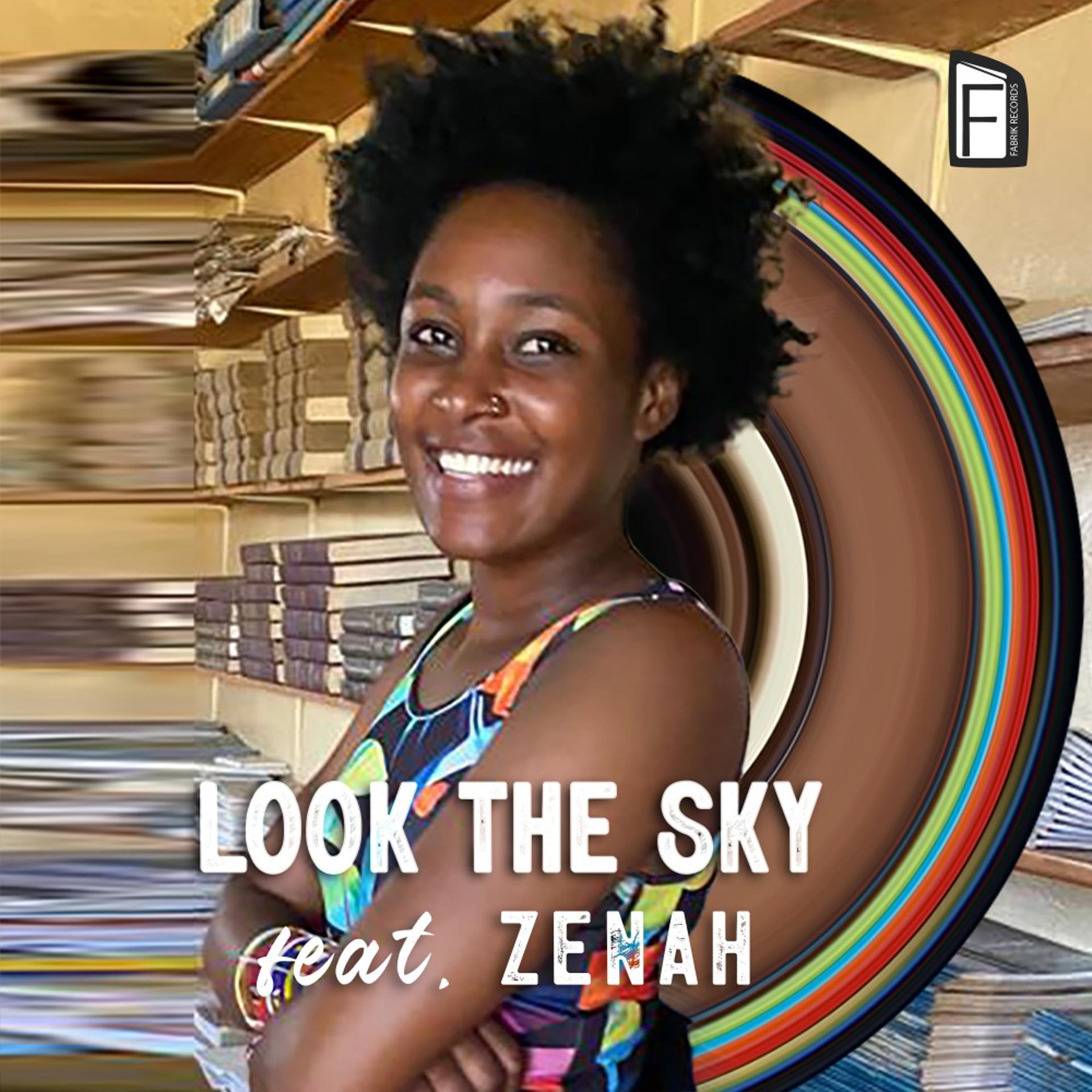 Постер альбома Look the Sky