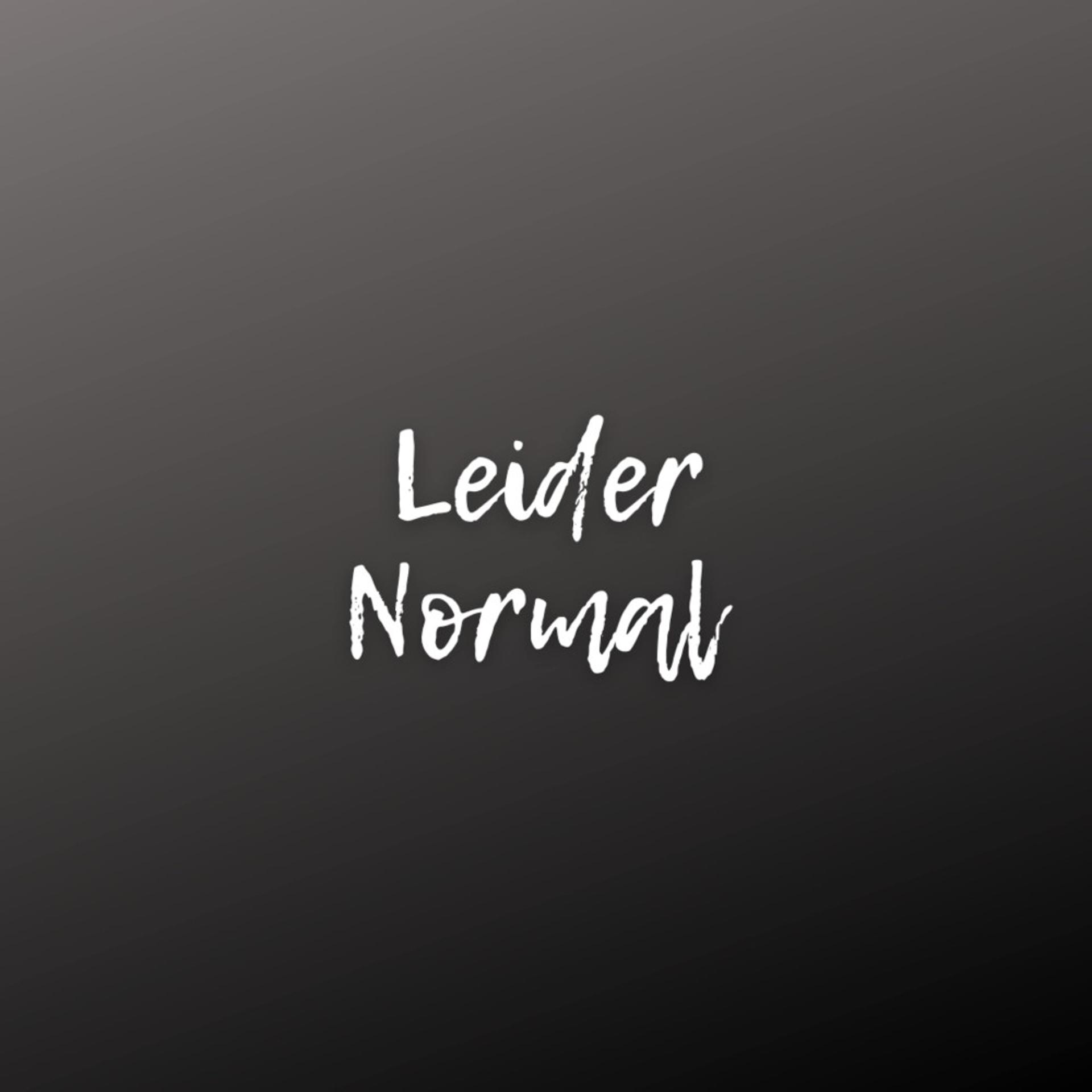 Постер альбома Leider Normal (Pastiche/Remix/Mashup)