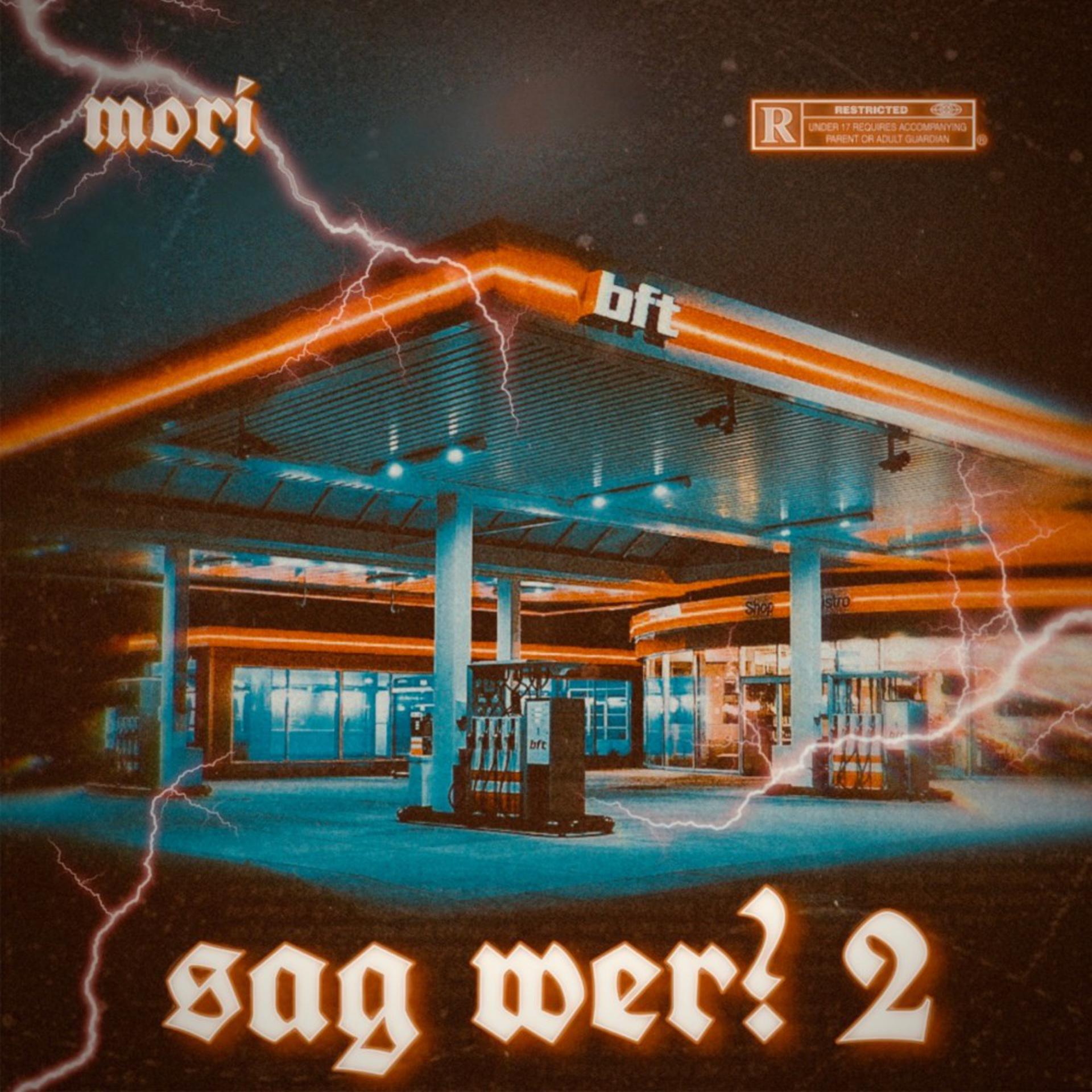 Постер альбома Sag wer?, Pt. 2