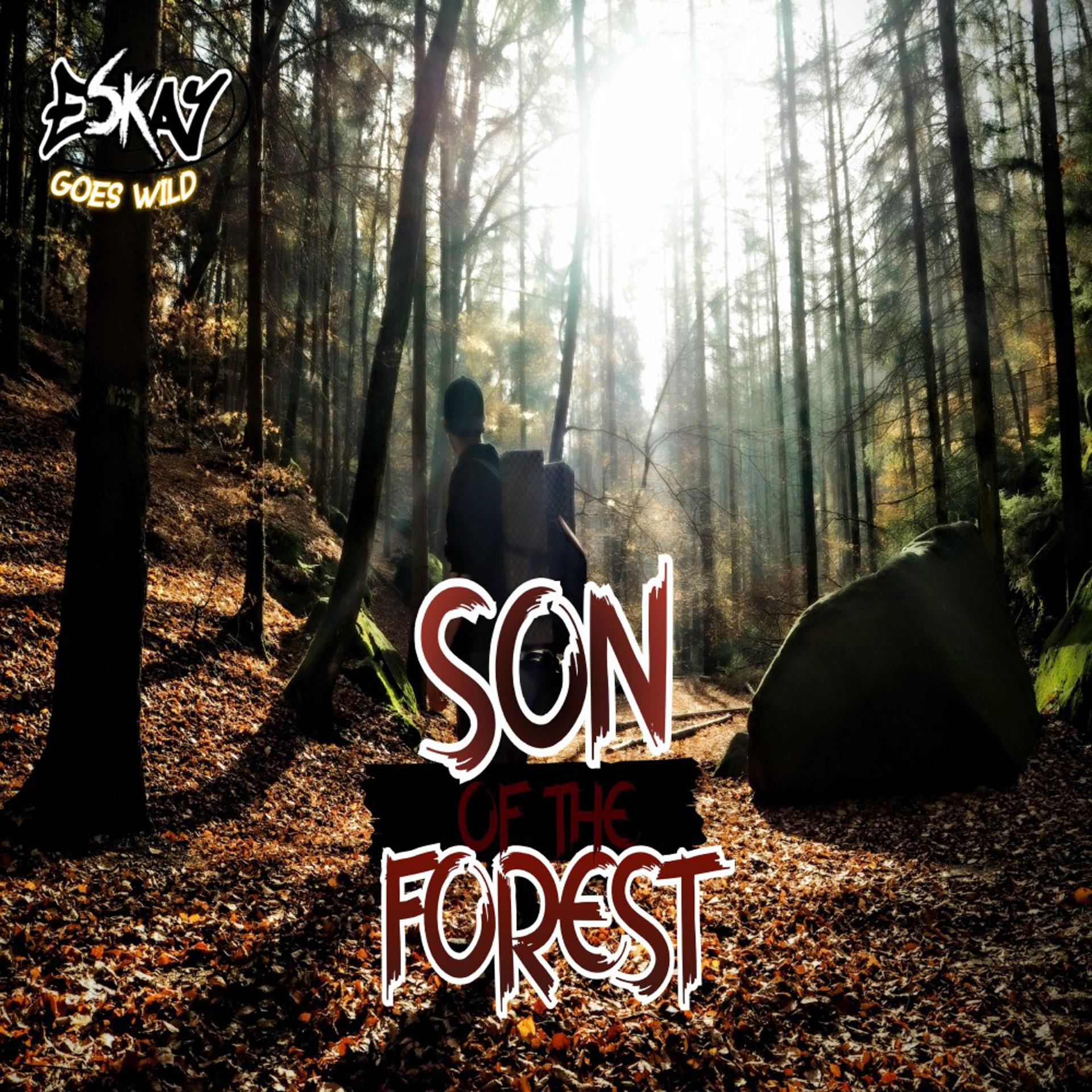 Постер альбома Son of the Forest