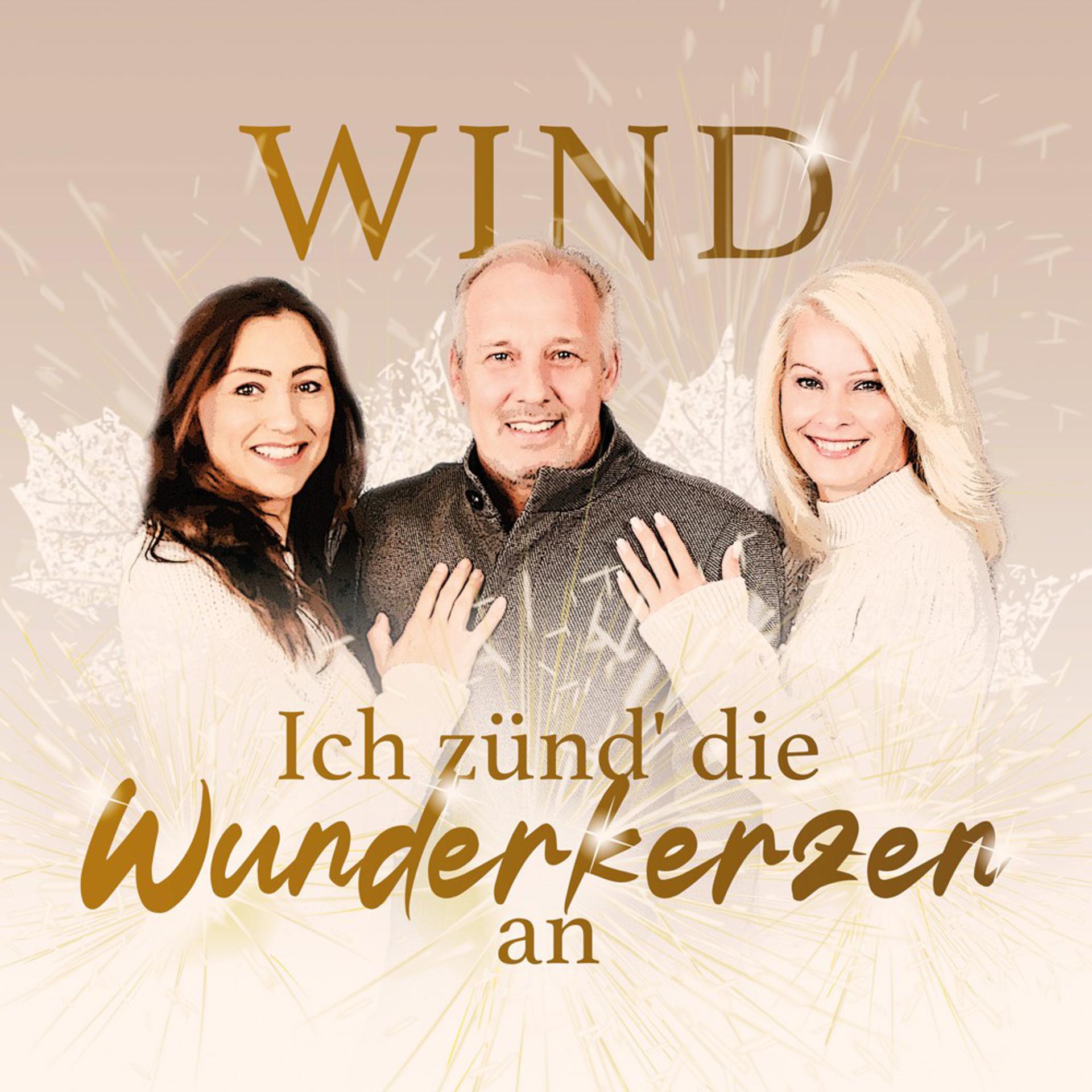 Постер альбома Ich zünd' die Wunderkerzen an