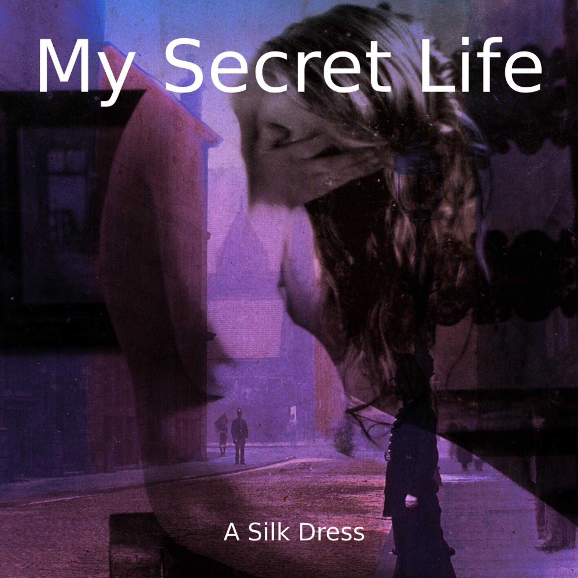 Постер альбома A Silk Dress (My Secret Life, Vol. 8 Chapter 6)