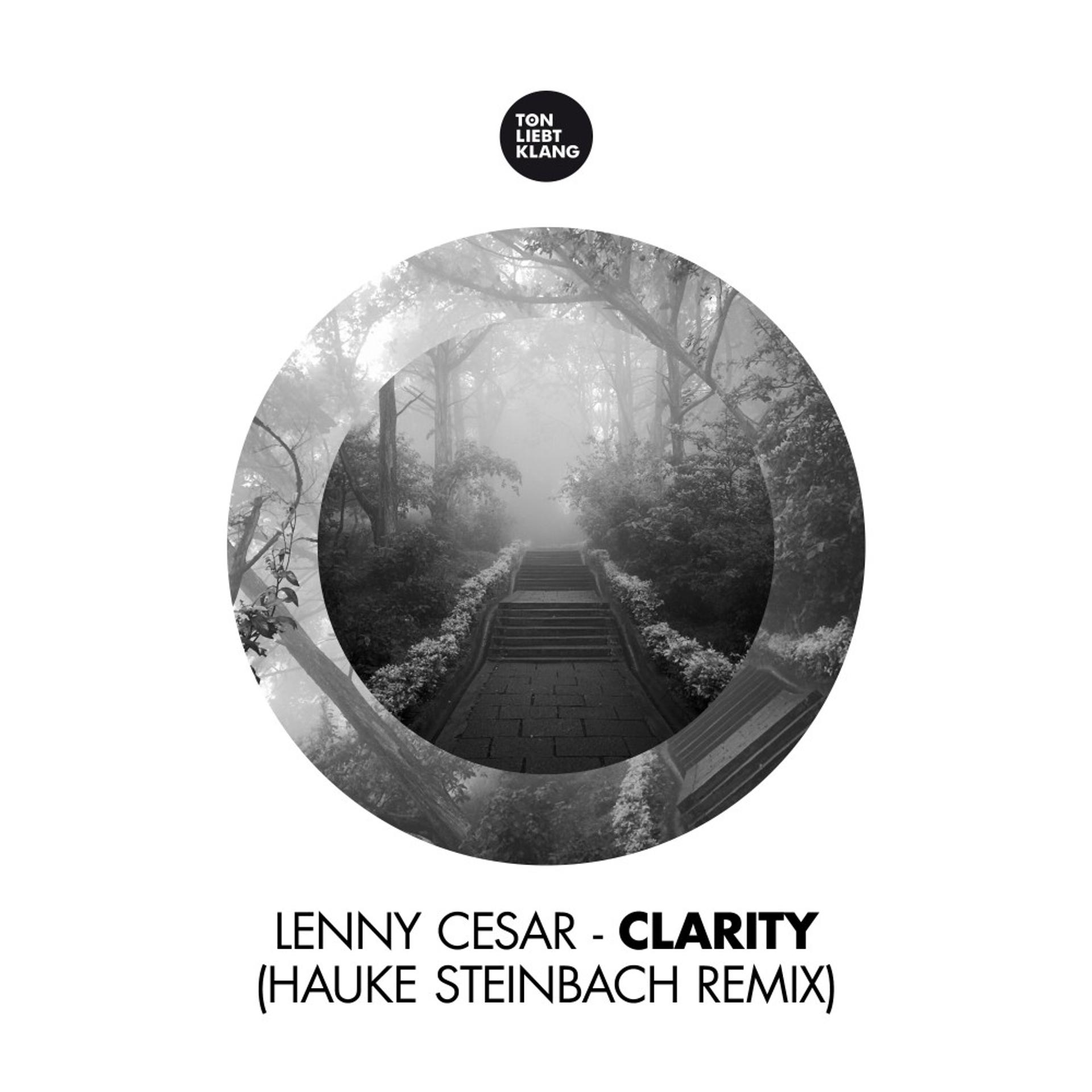 Постер альбома Clarity (Hauke Steinbach Remix)